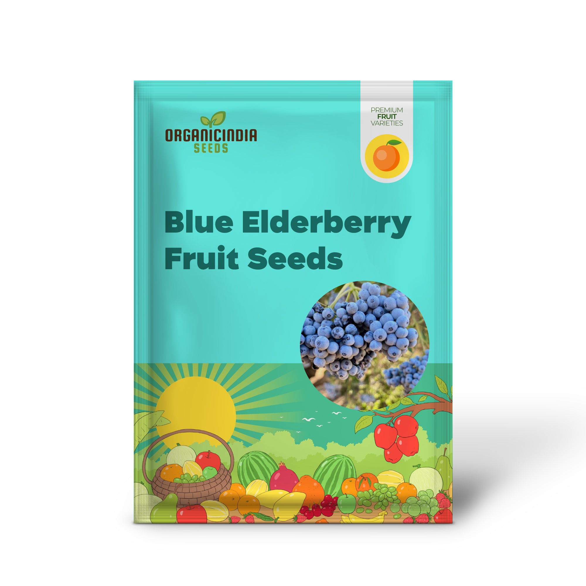 Semillas de fruta de saúco azul