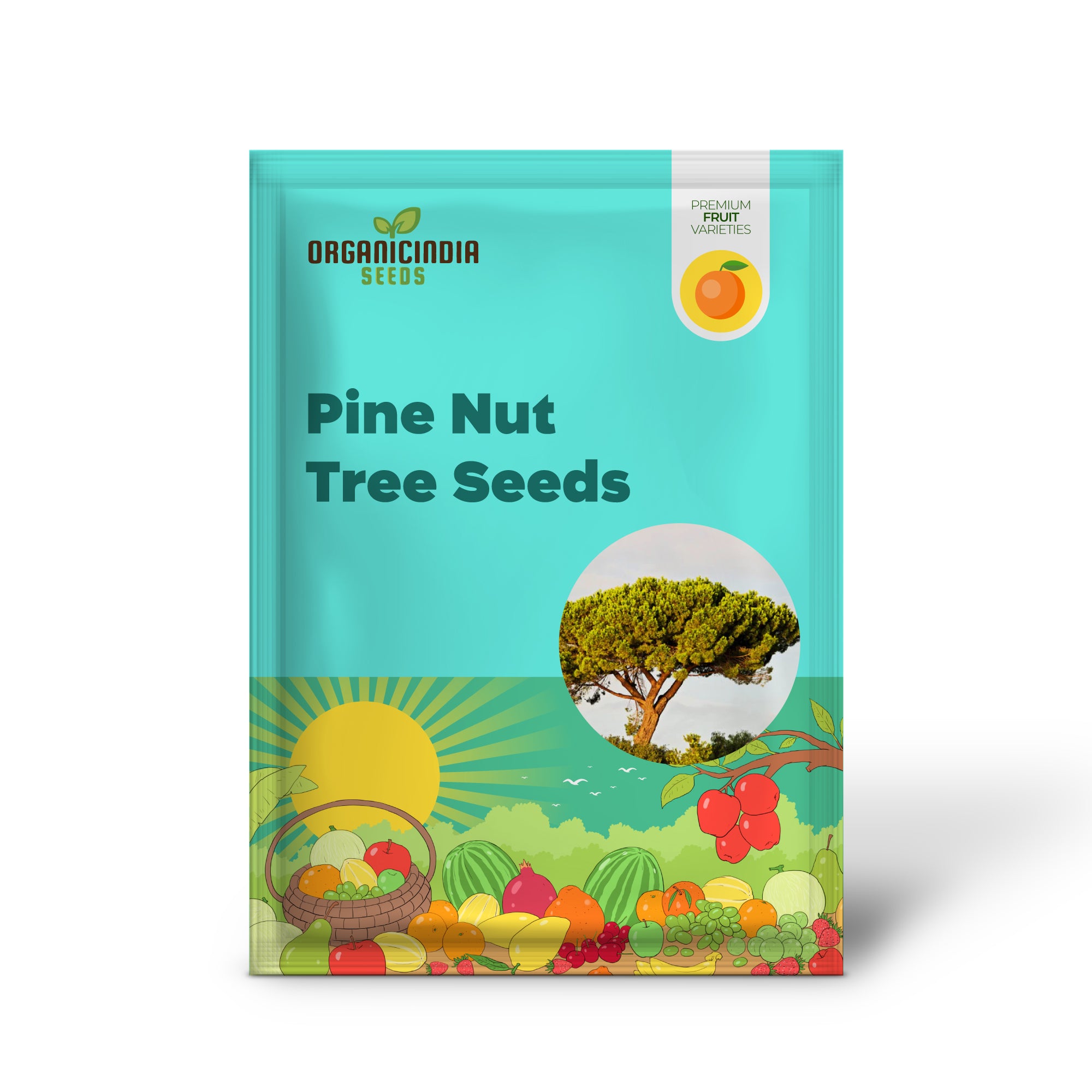松の実 イタリアンストーンパイン(Pinus pinea)– 傘の木の種子