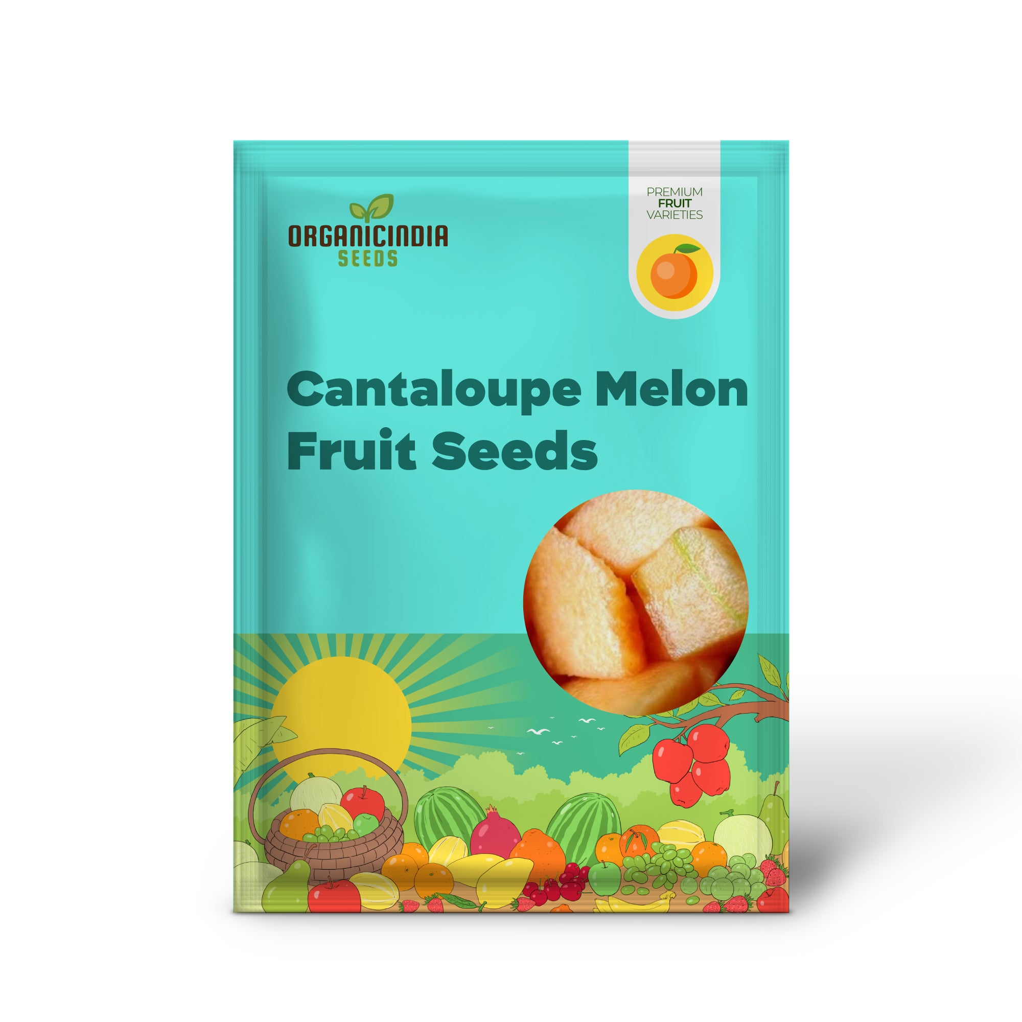 Melón Cantalupo Iroquois (Cucumis melo) – Semillas de Fruta