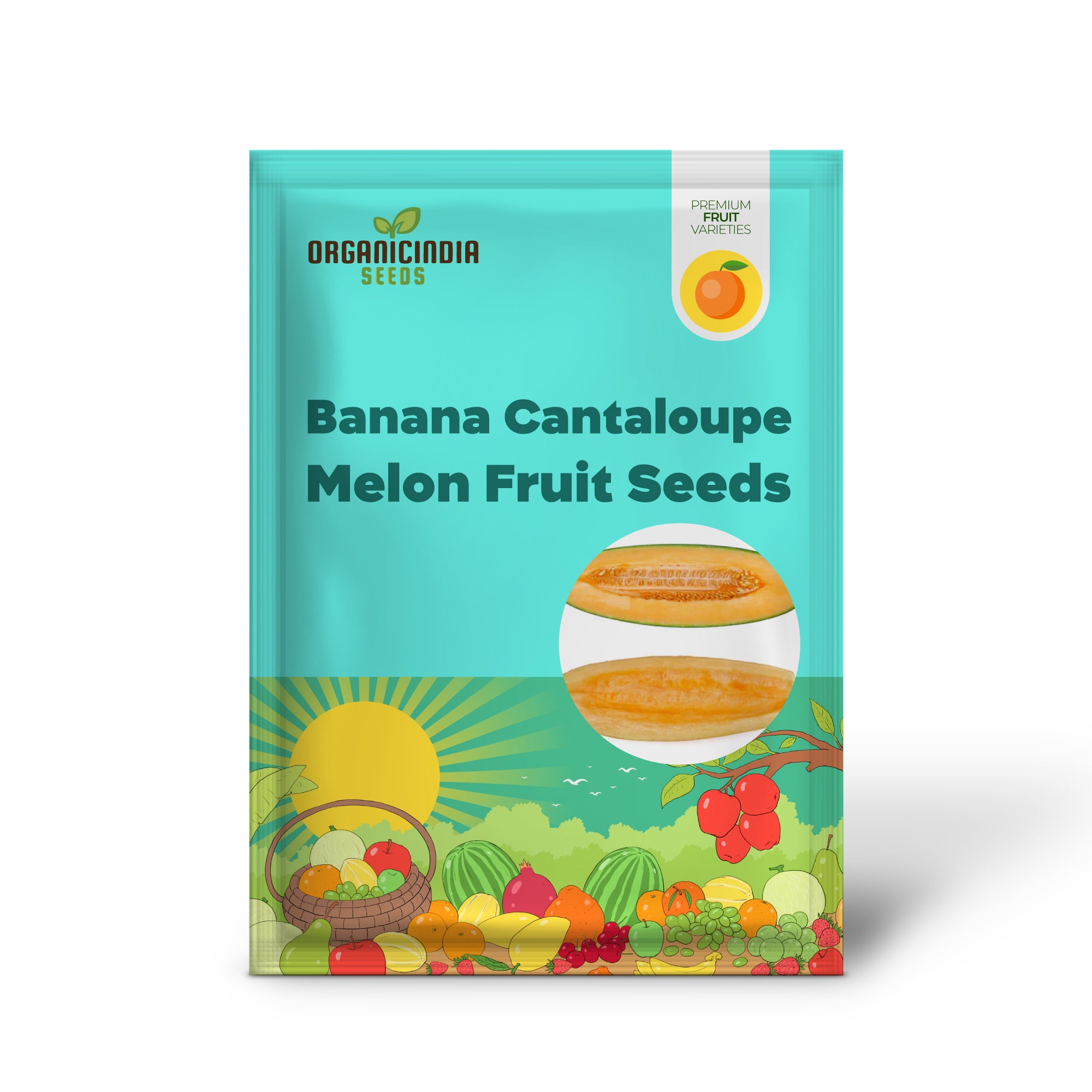 Semillas de fruta de melón cantalupo banana (Cucumis melo)