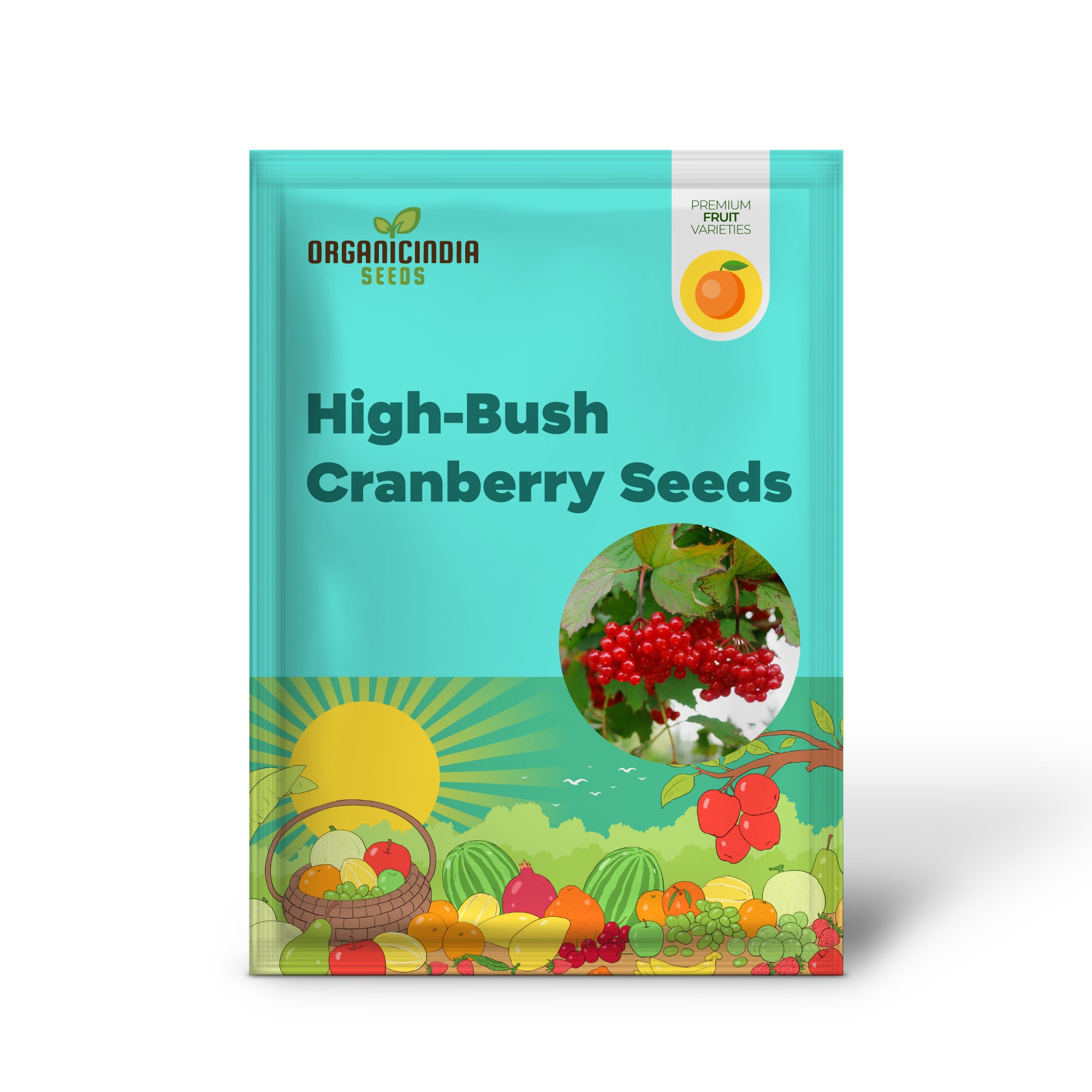 Arándano americano de arbusto alto (Vaccinium corymbosum) – Semillas