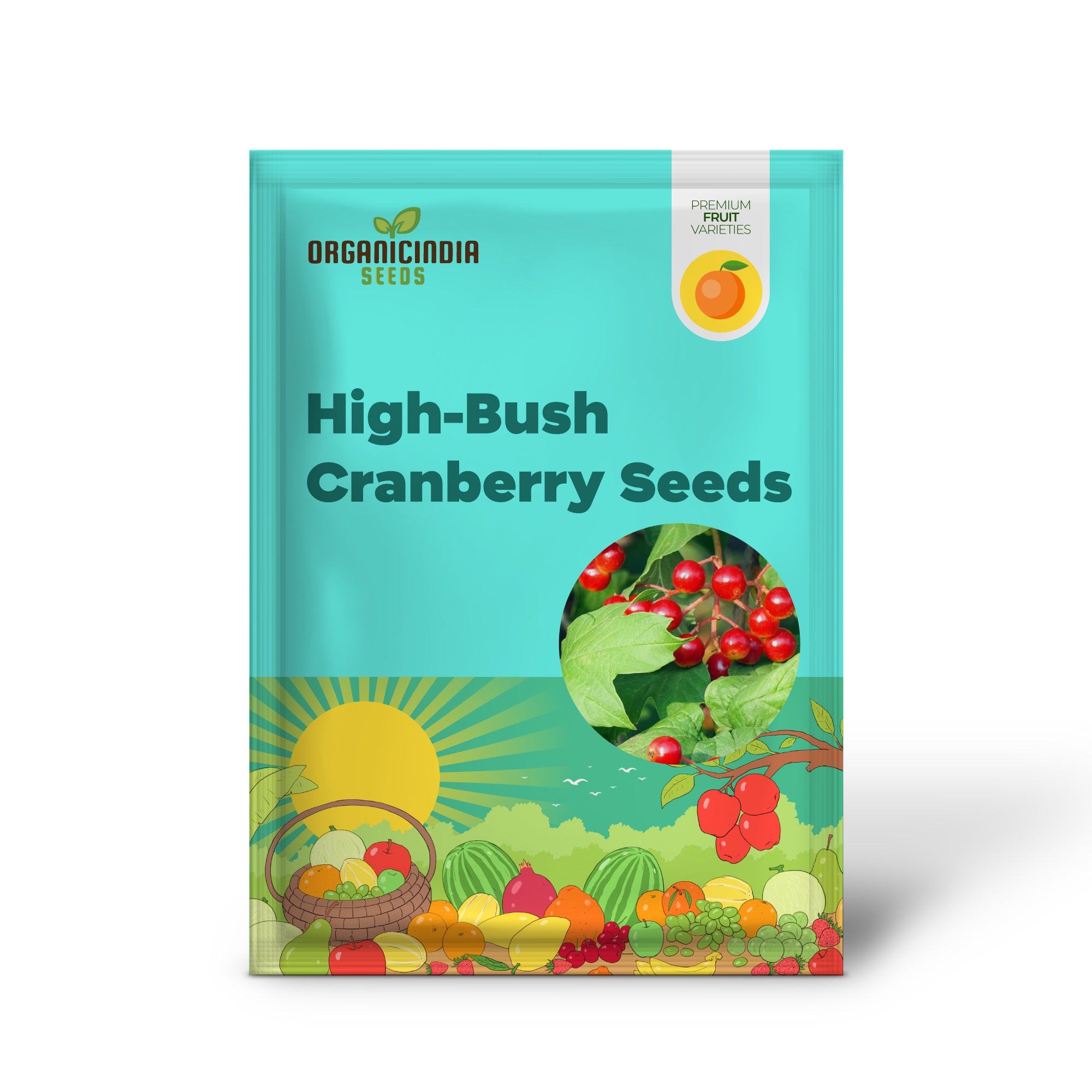 Arándano alto Wentworth (Vaccinium corymbosum 'Wentworth') – Semillas