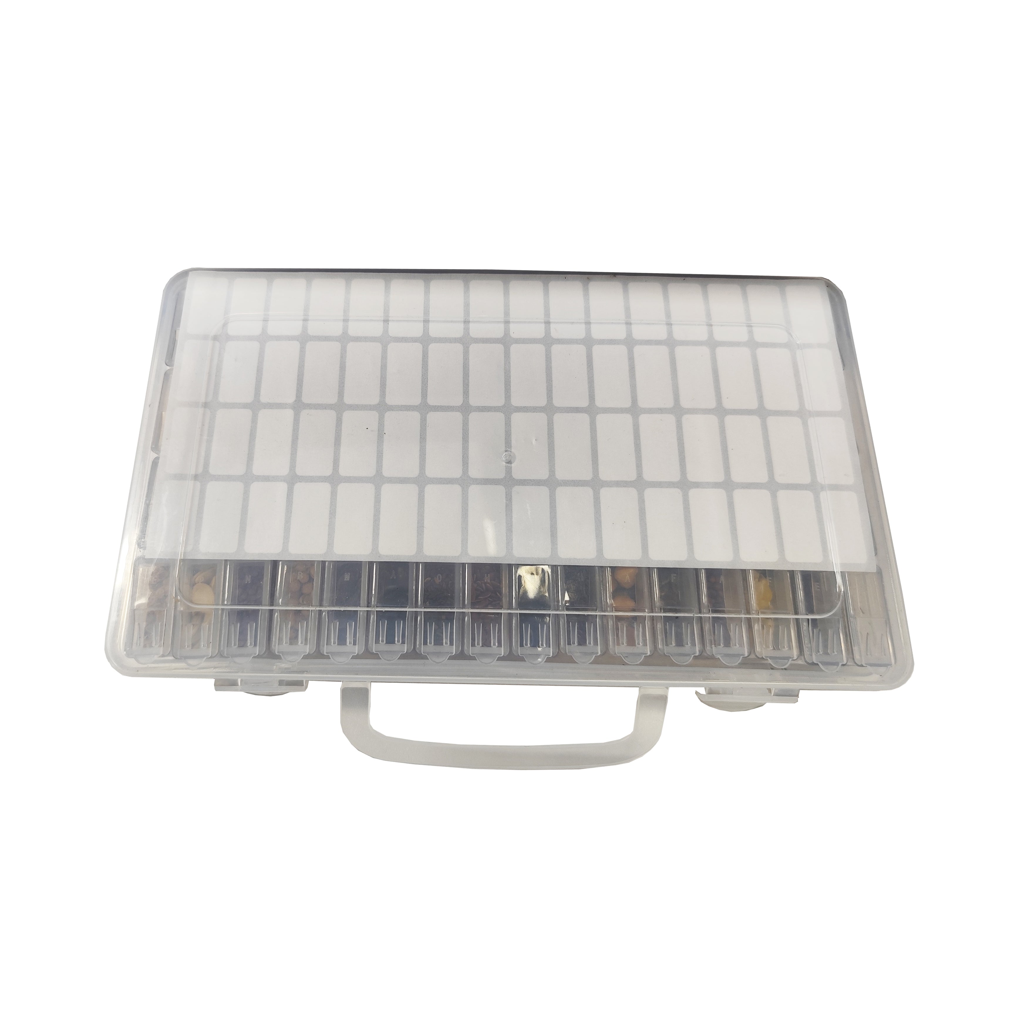 Banco de Semillas Todo en Uno para Jardín – 64 Variedades de Semillas (Flores, Hierbas, Verduras, Frutas)