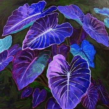 Semi di Caladium Bicolor Blue Mix