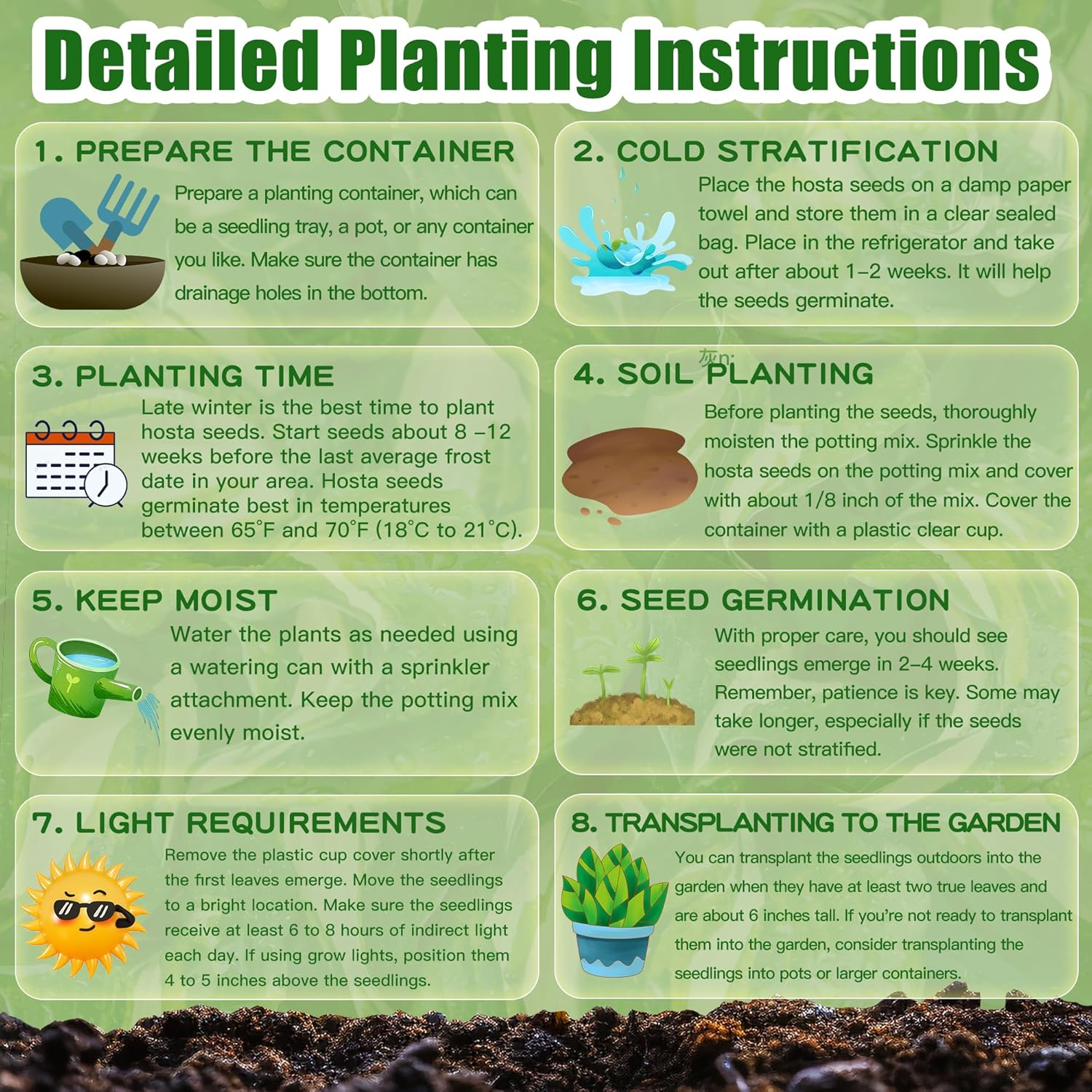 Semillas de Hosta Morada, Plantas Perennes de Hosta para Jardines al Aire Libre, Bajo Mantenimiento y Fáciles de Cultivar