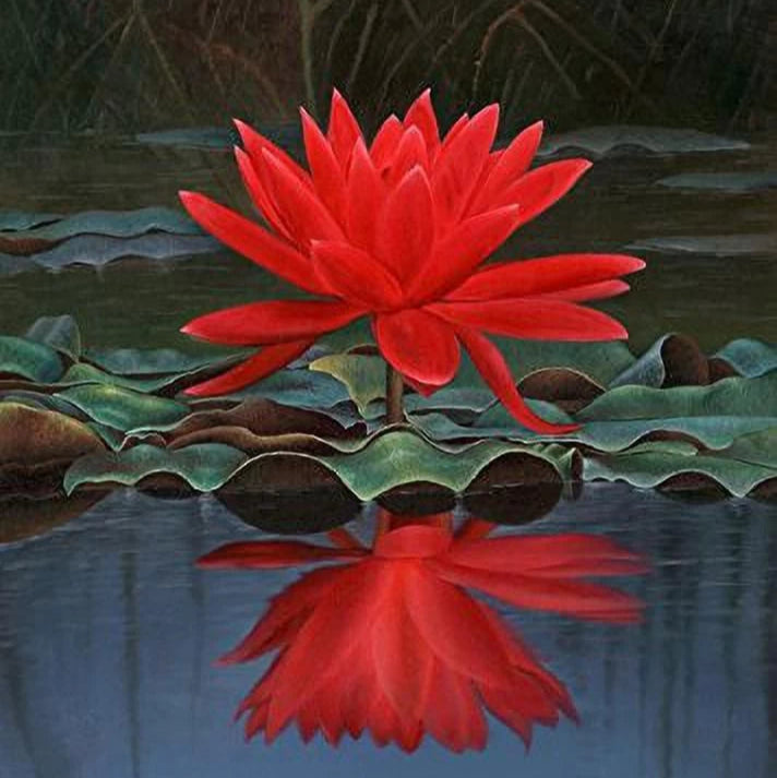 Red Lotus Flower Seeds for Planting - 100 pcs - Flower seeds