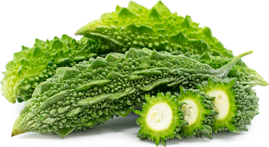 Semillas de Melón Amargo Indio – Karela Heredado para Jardines de Alto Rendimiento