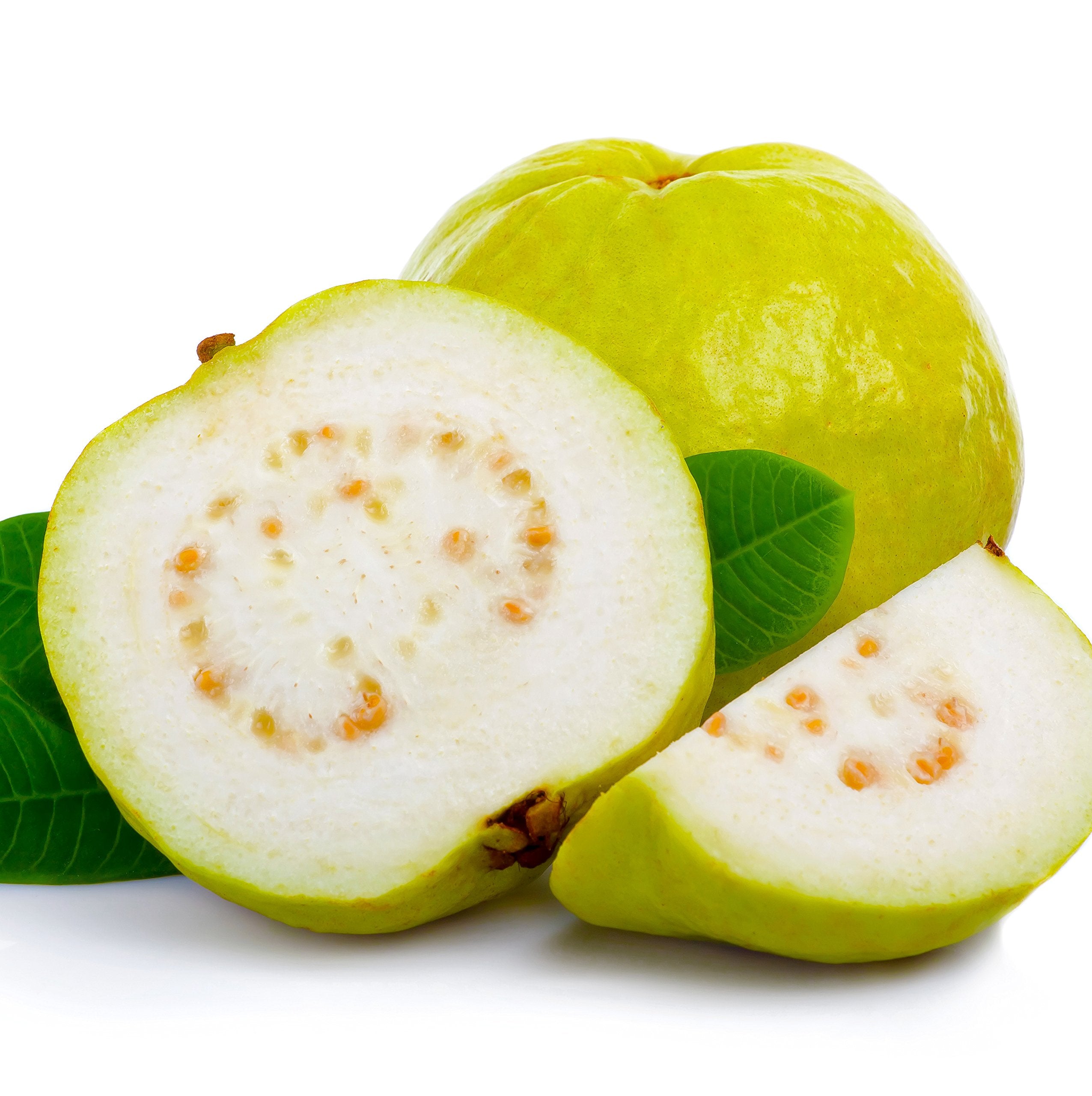 Peruvian White Guava Seeds – Sweet & Aromatic Tropical Fruit for Planting