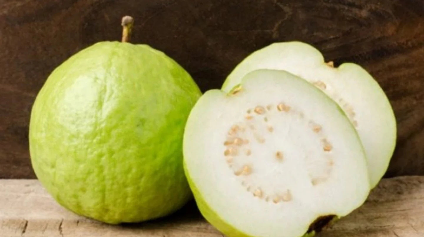 Semillas de Guayaba Blanca Tropical – Fruta Dulce y Fragante para Plantar