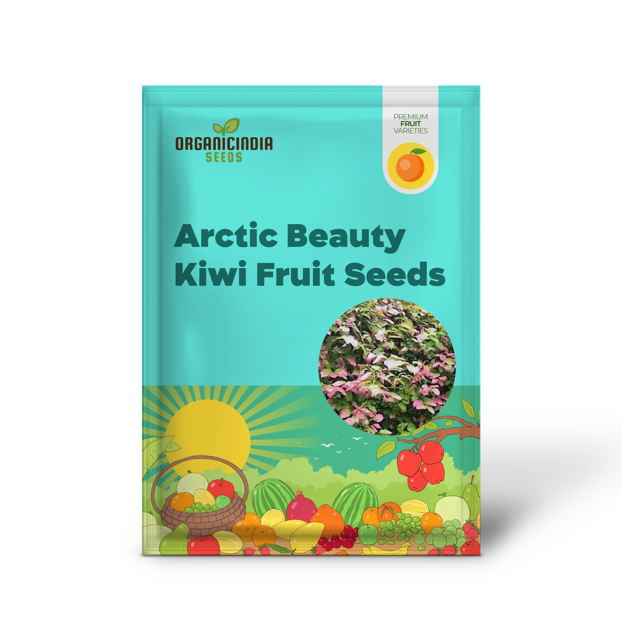 Actinidia kolomikta seeds for cold-hardy kiwi vines