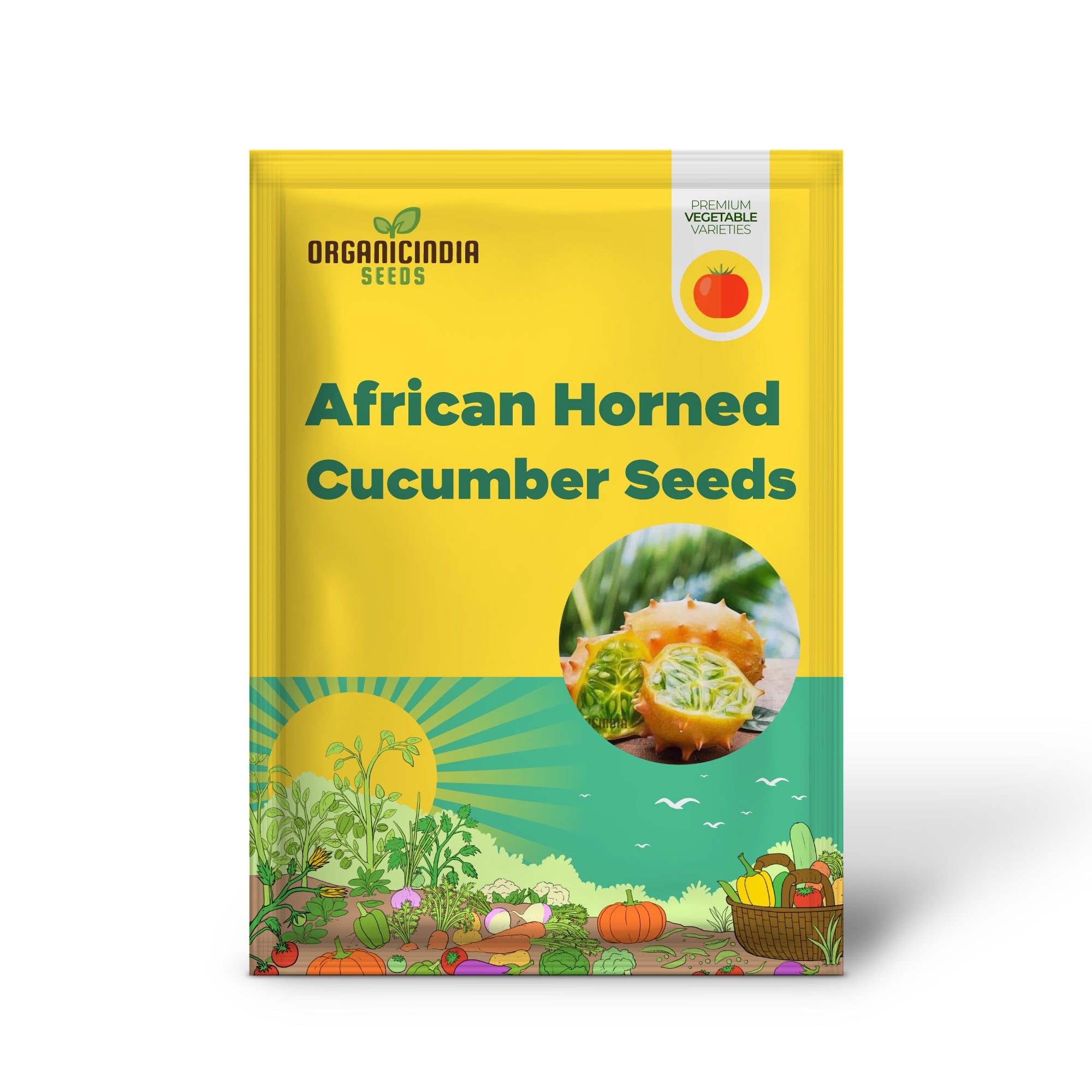 African Horned Cucumber Seedling Growing from Organic Seeds