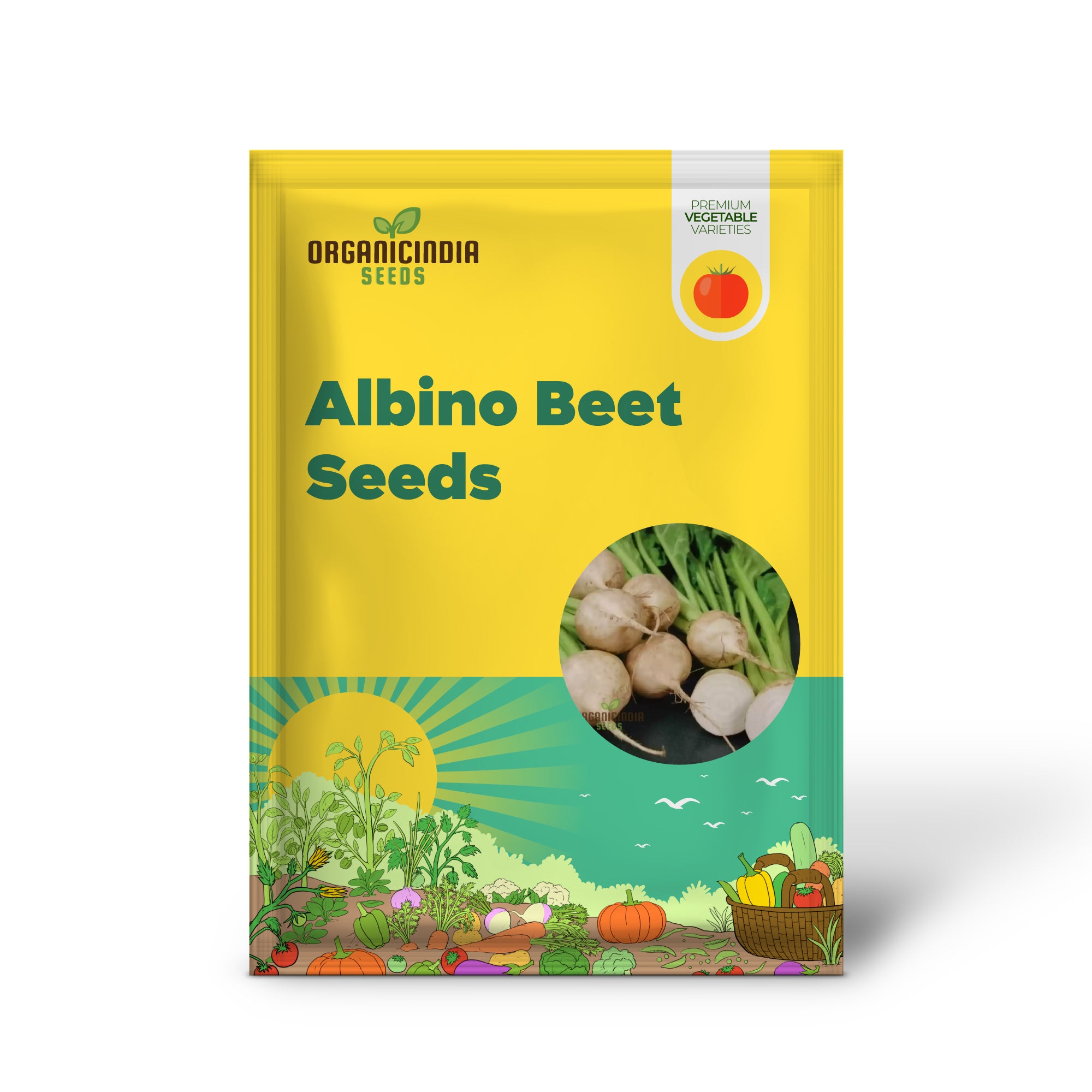 Albino Beet Seedlings Growing in Garden, Easy-to-Grow Beet Seeds