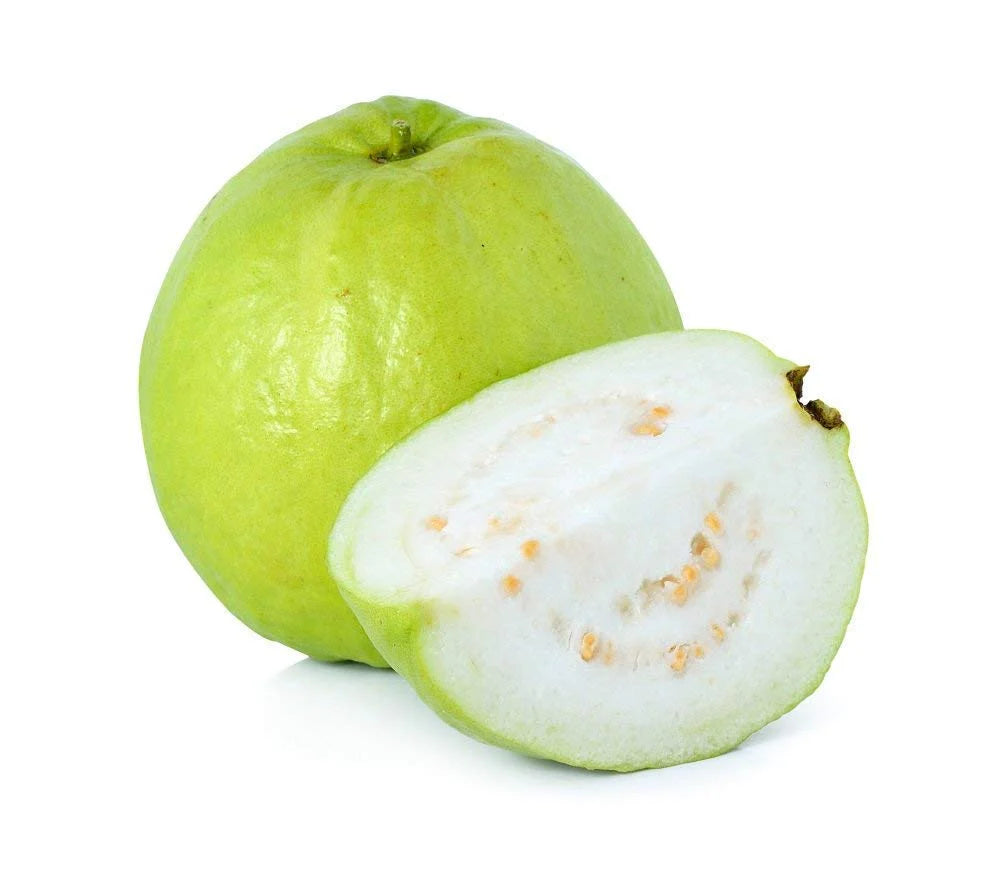 Allahabad Safeda Guava seeds for planting sweet tropical fruits