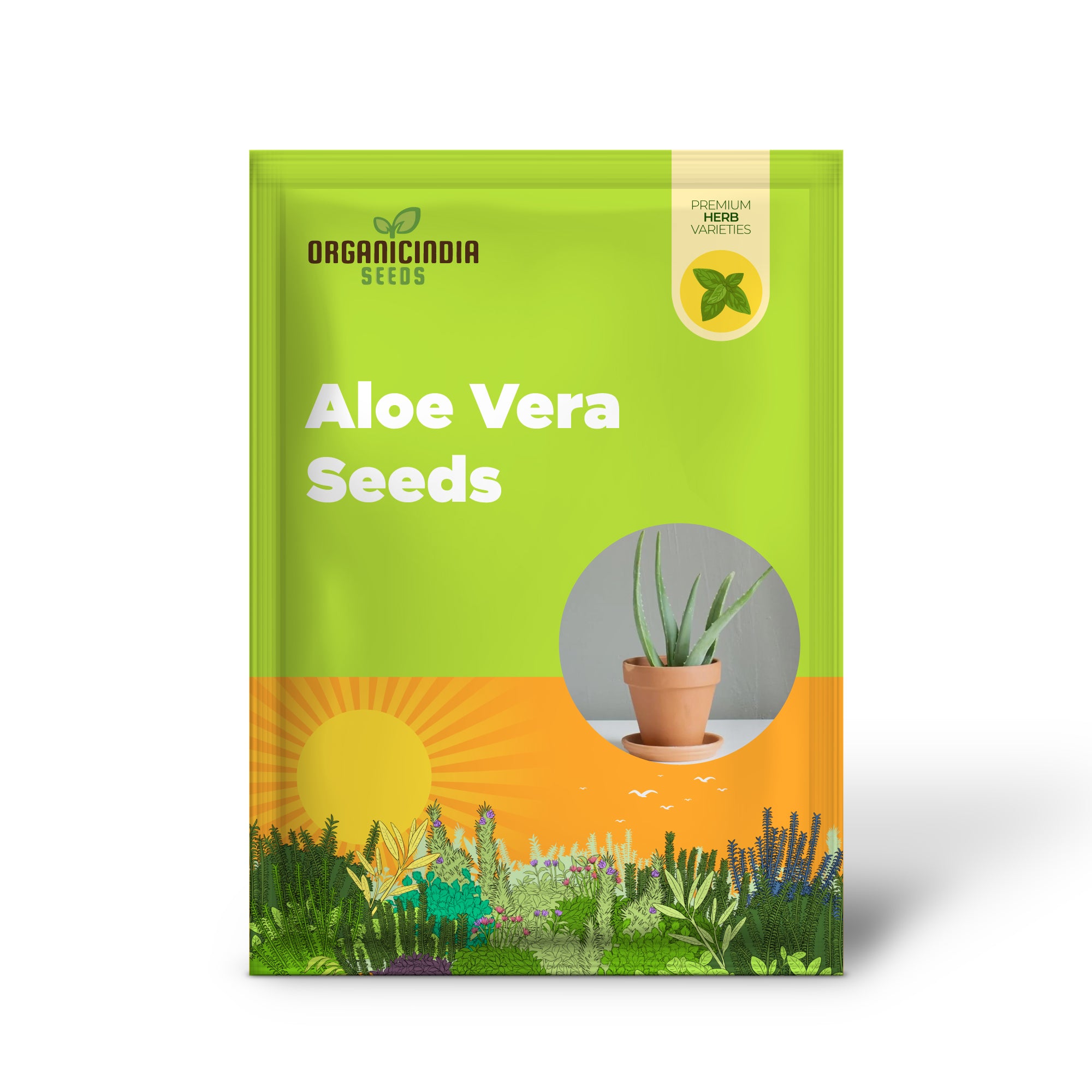 Aloe Vera Succulent Seeds for Home Garden and Containers