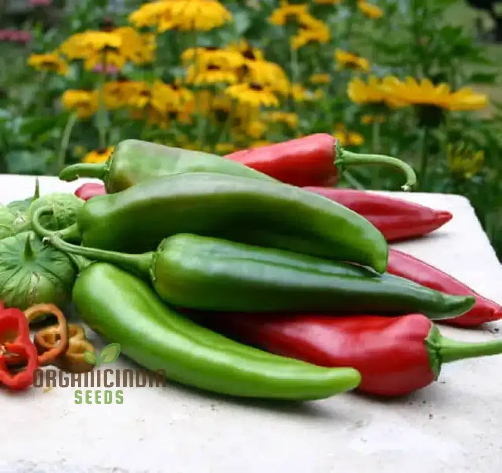 Green to Red Anaheim Chili Peppers, Garden Hot Pepper Seeds
