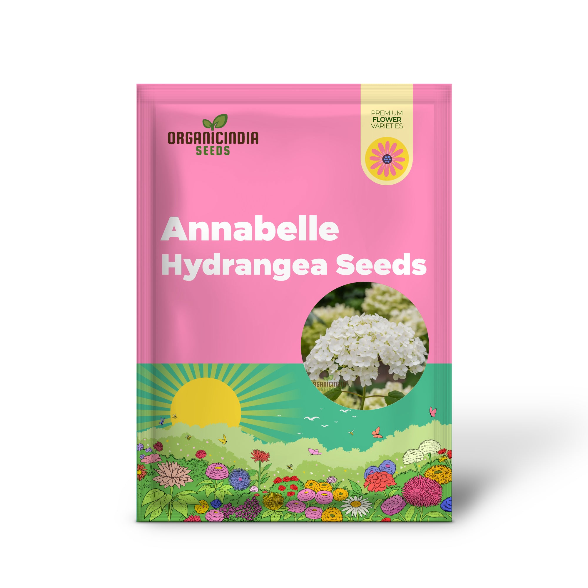 Annabelle Hydrangea seeds for planting white hydrangea blooms