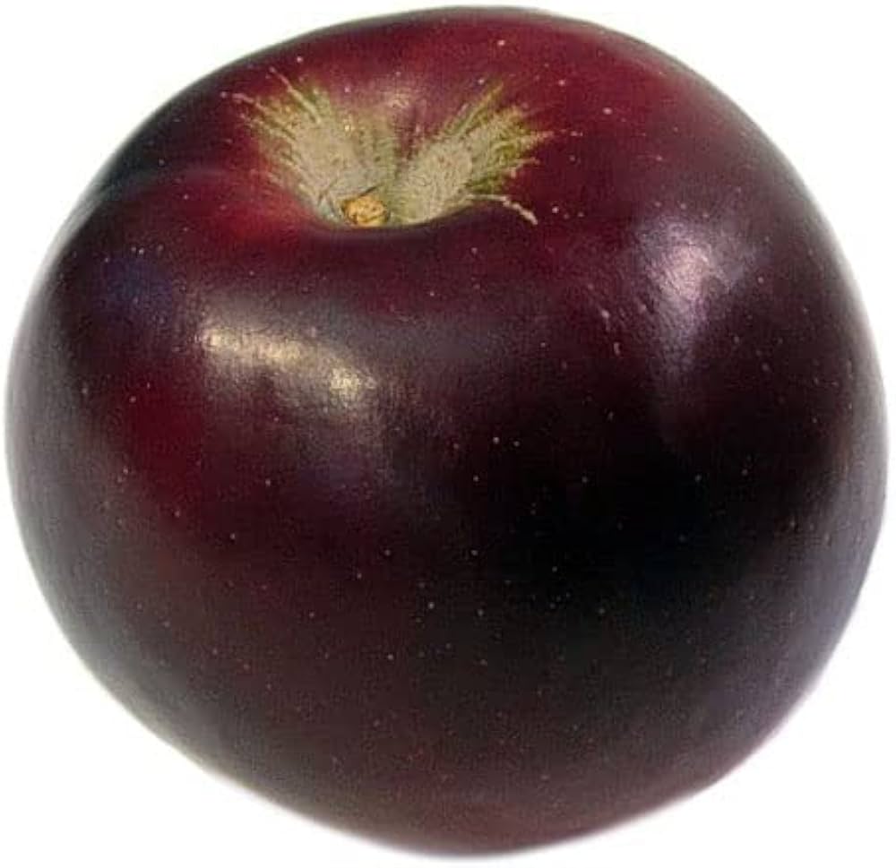 Arkansas Black apple seedlings sprouting in growing trays