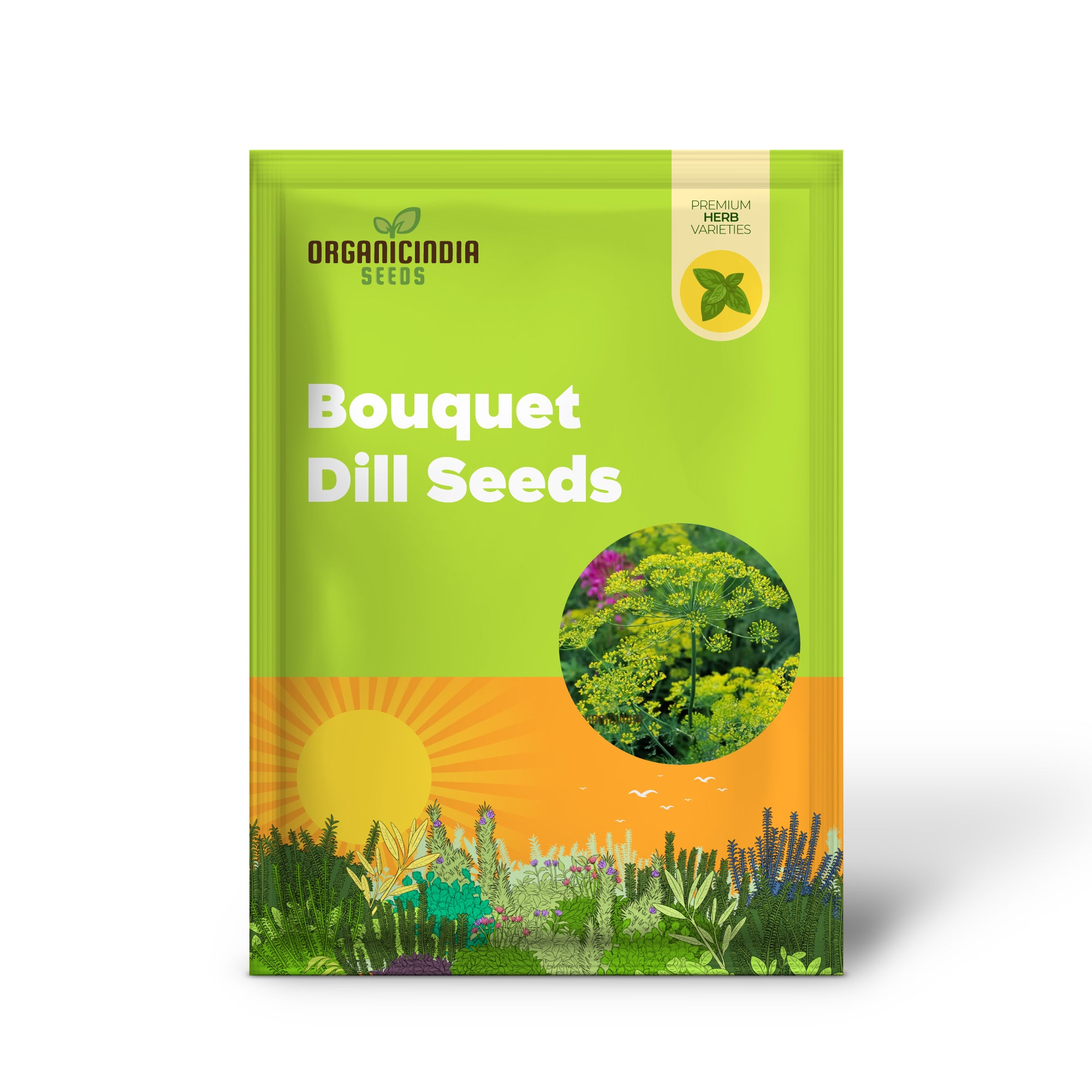 Aromatic Bouquet Dill Herb Plant Growing in Garden
