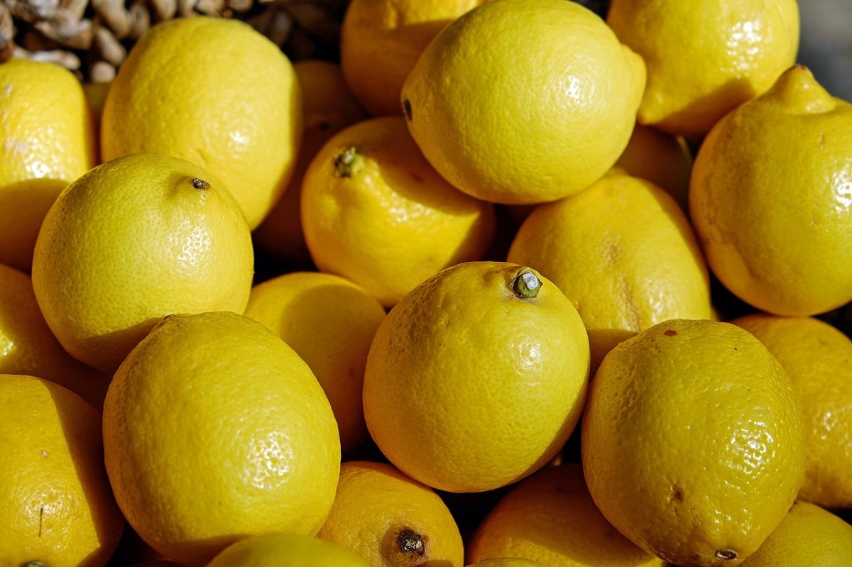 Aromatic Verna lemon tree seeds ideal for home gardeners