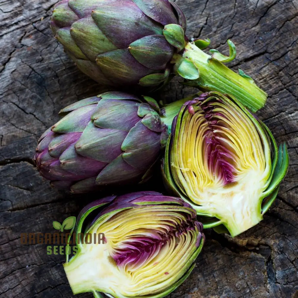 Blooming Purple Artichoke Flower from Seeds, Ornamental Plant