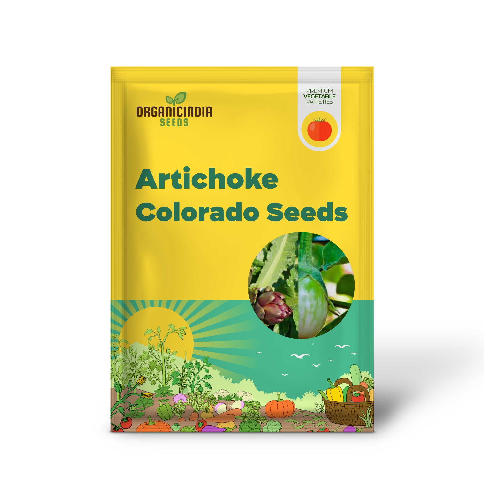 Colorado Red Star Artichoke Seedlings Growing from Seeds, Home Garden Vegetable