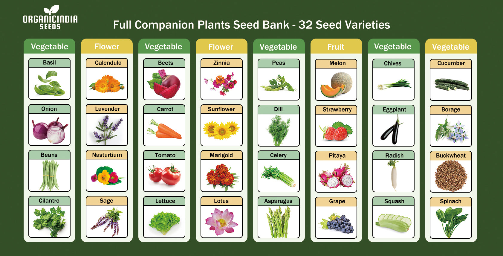 Assorted Garden Seeds Variety Pack with Mixed Seed Bank 32 Types