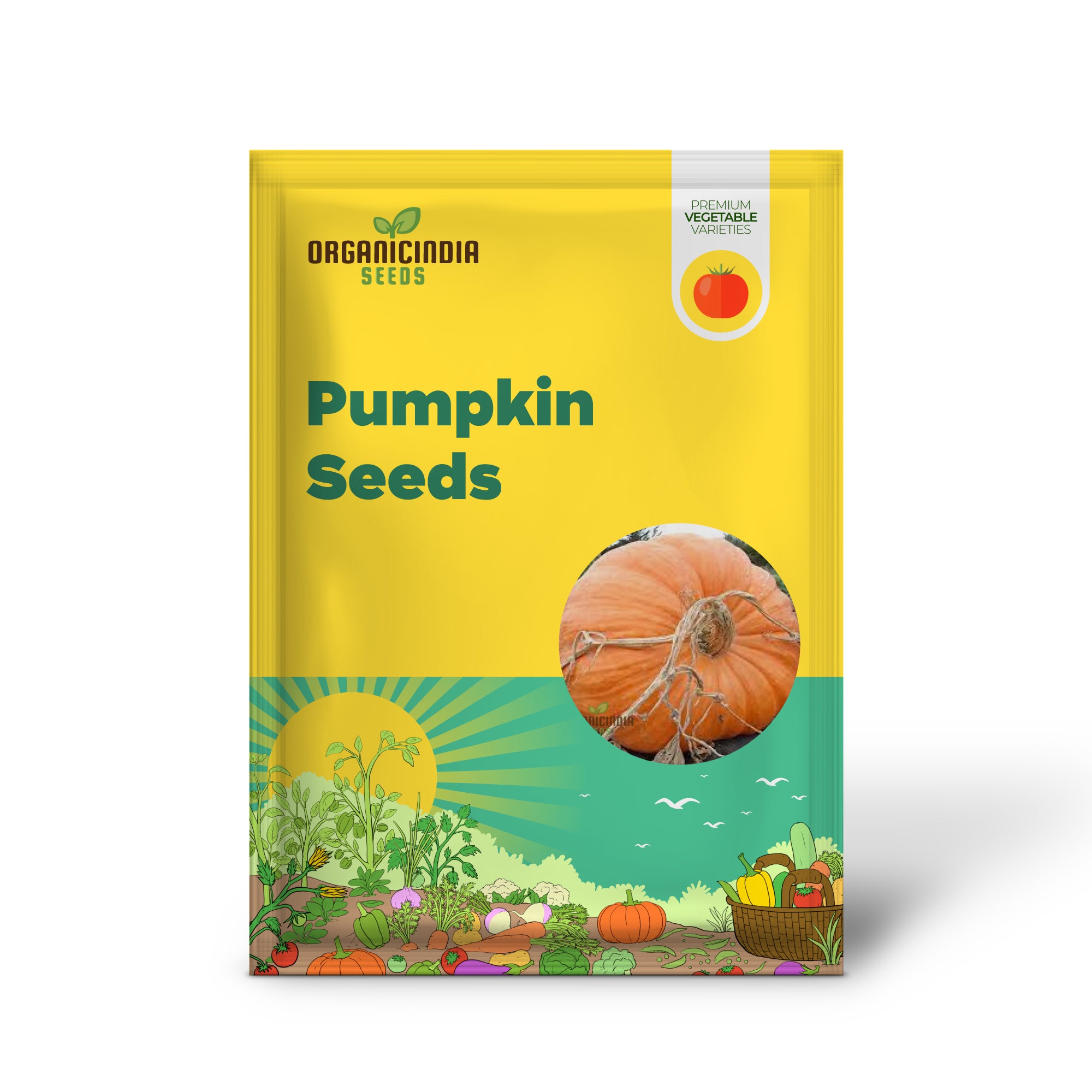 Atlantic Giant Pumpkin Seedling Growing in Garden, Easy-to-Grow Pumpkin Seeds