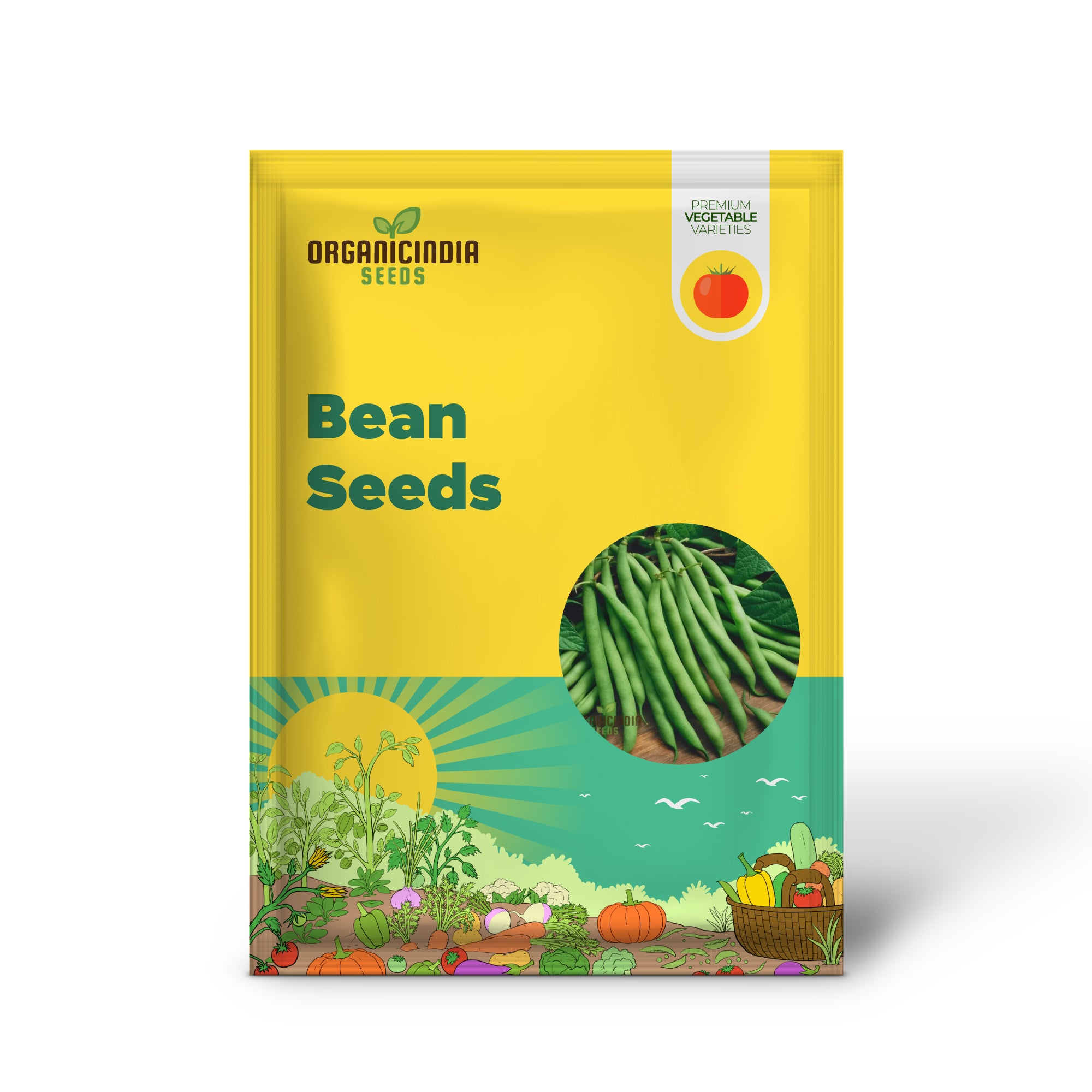 Green Bean Seedling in Garden, High-Yield Vegetable Plants