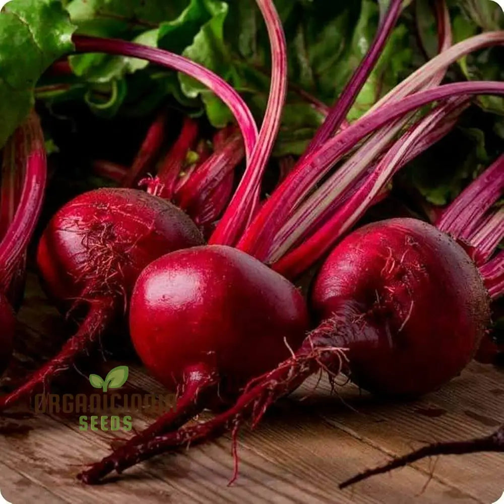 Crimson Globe Beetroot Seeds for Planting, Heirloom Beetroot Seeds