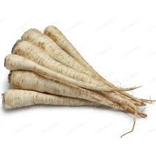 Berlin Root Parsley Seeds Growing Thick, White Roots in Garden Soil