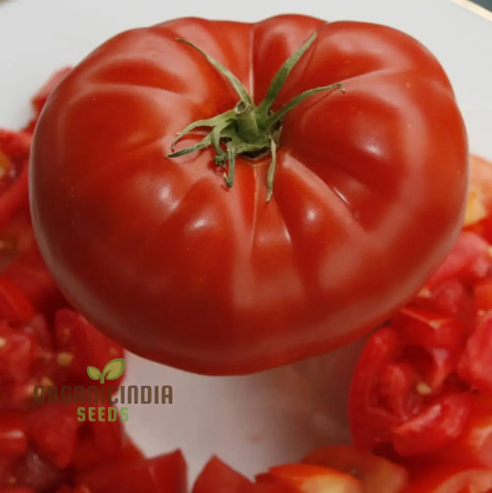 Big Beef Tomatoes Growing on the Vine, Large Red Hybrid Tomatoes