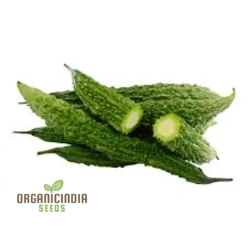 Mature Bitter Melons from Indian Magara F1 Seeds, Tender and Flavorful Gourds