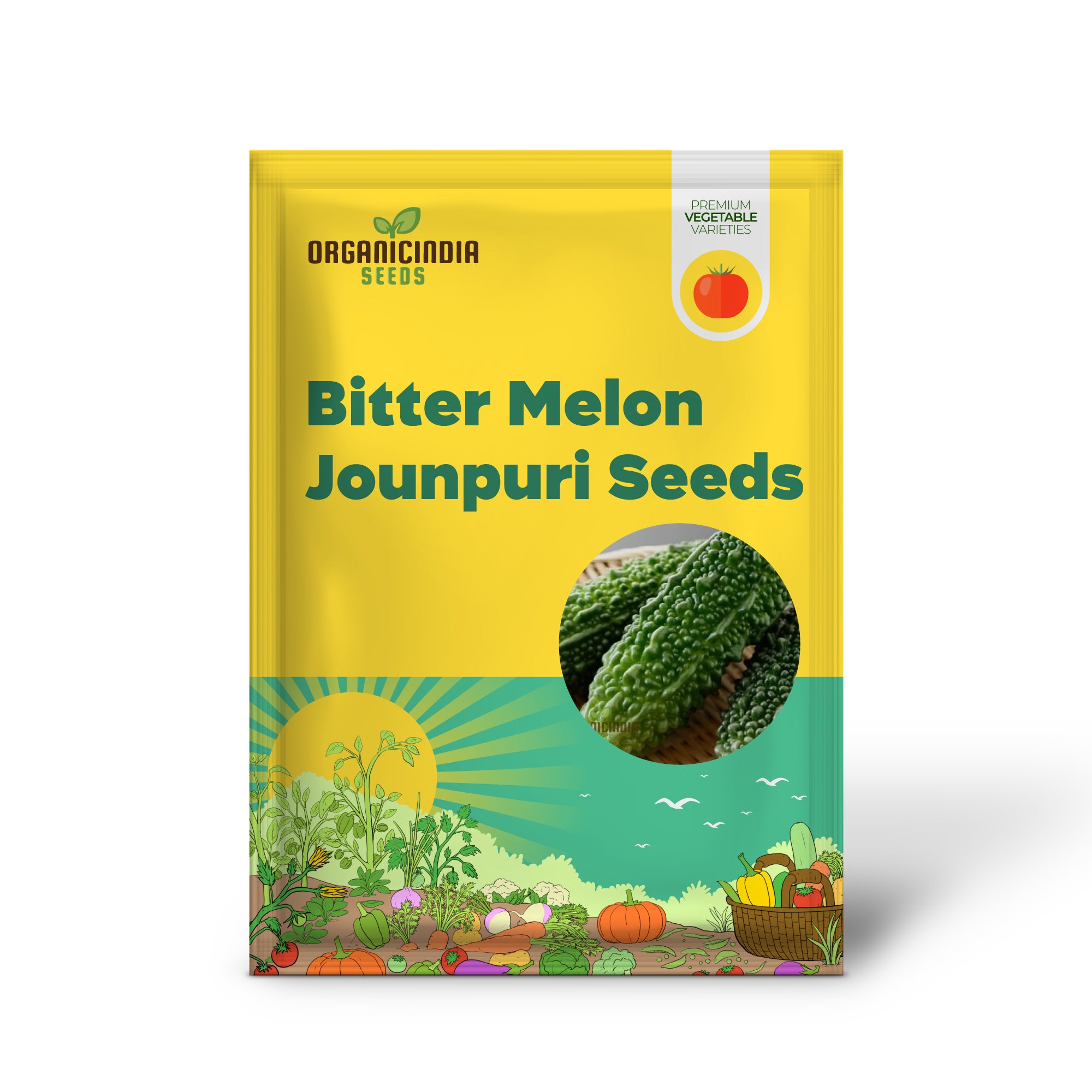 Jounpuri Bitter Melon Seedling Growing, Easy-to-Grow Vegetable Seeds