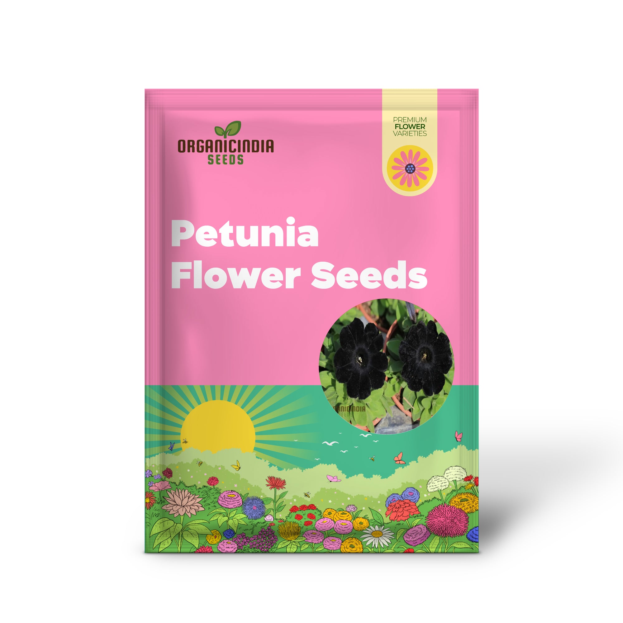 Black petunia seeds for dramatic garden planting