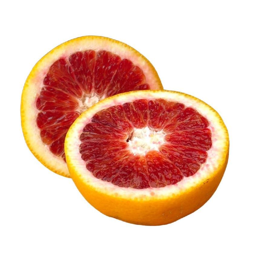 Mature Blood Orange tree bearing vibrant red-fleshed oranges