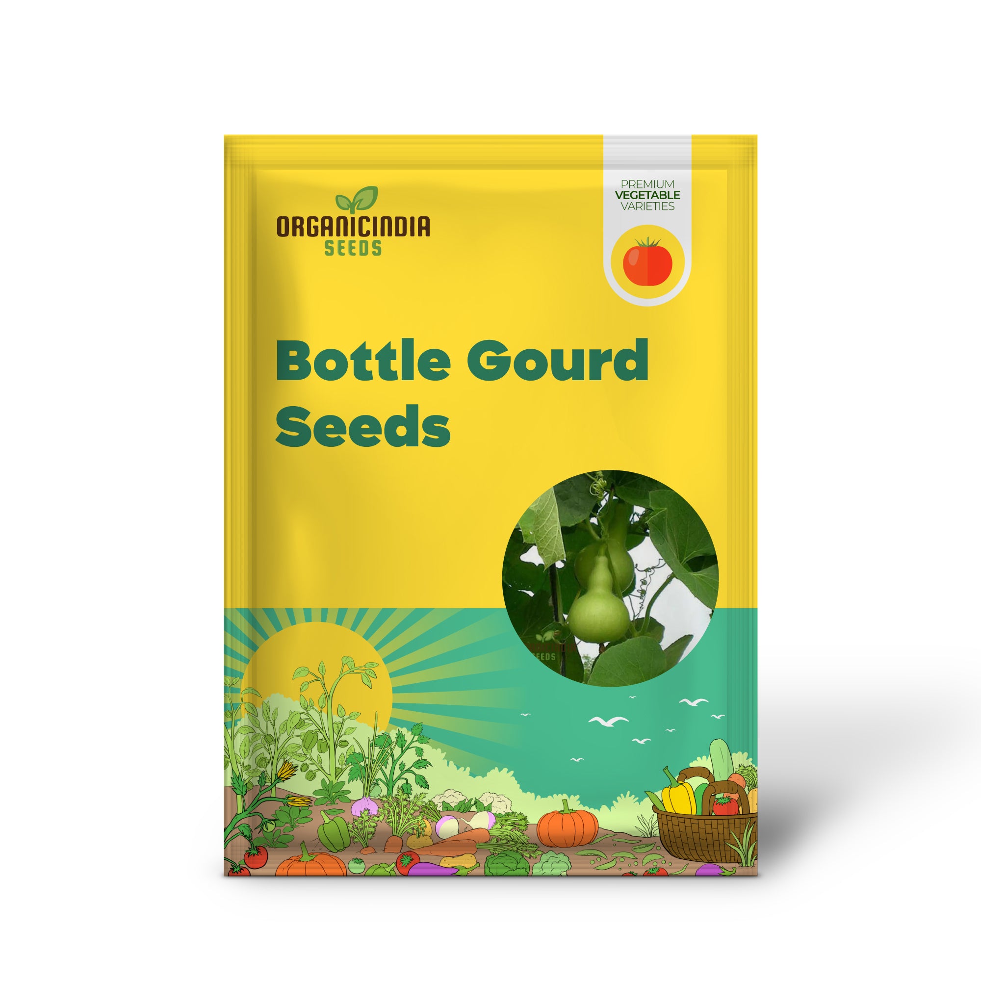 Bottle Gourd Lattu Seedlings Growing from Seeds, Home Garden Plants