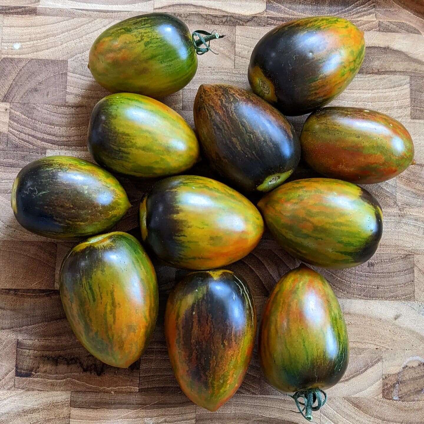 Brad’s Atomic Grape Tomato Seedlings Growing from Heirloom Seeds