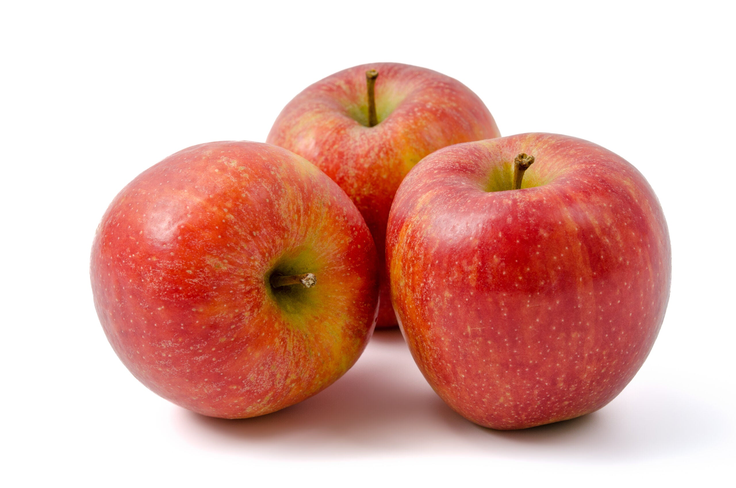 Braeburn apple seeds for planting sweet tart crisp apples