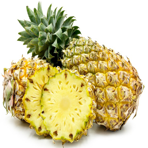 Semi di Ananas Brecheche per Piantare – Coltiva Ananas Tropicali Dolci e Resistenti
