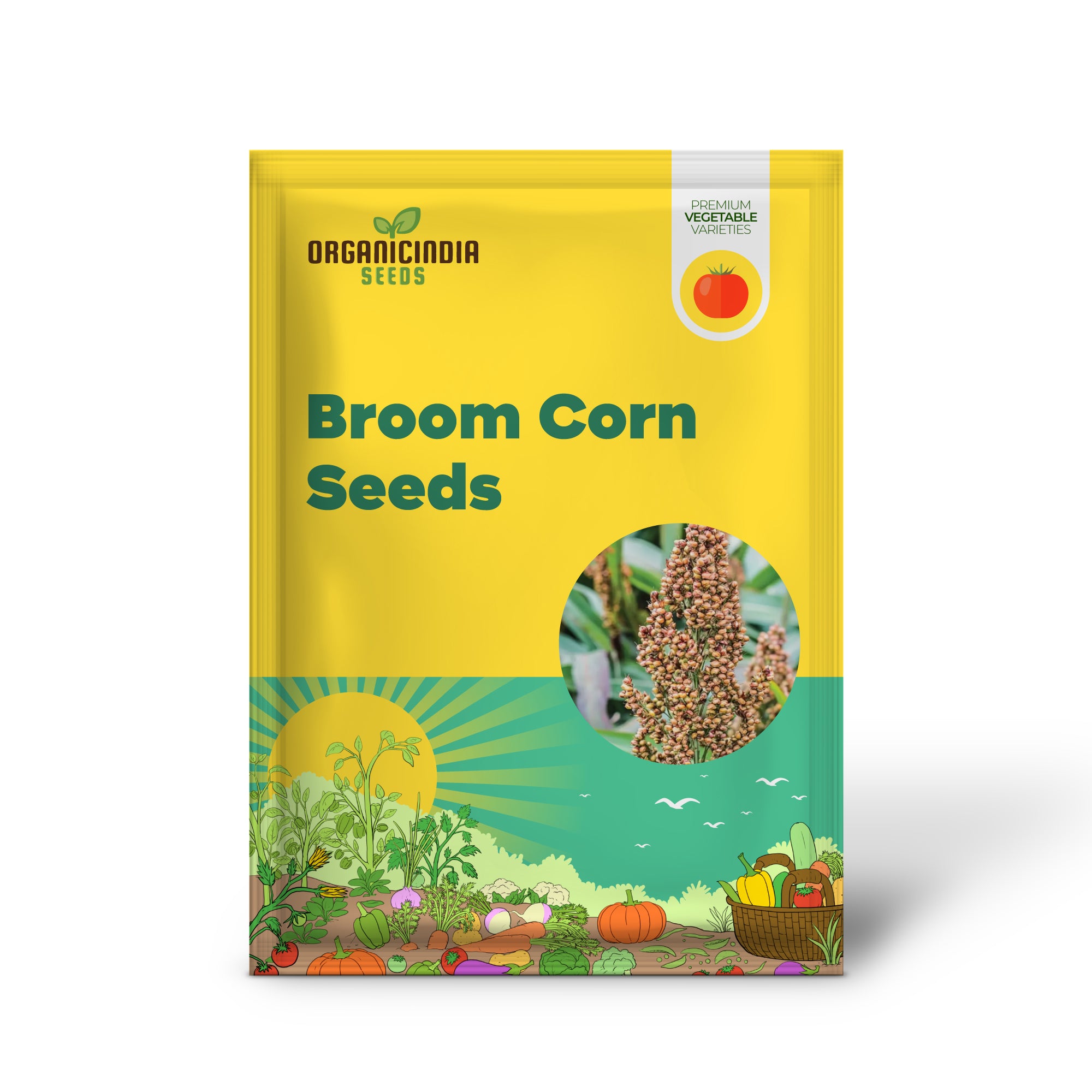 Broom Corn Seedling for Home Garden, Easy-to-Grow Premium Seeds