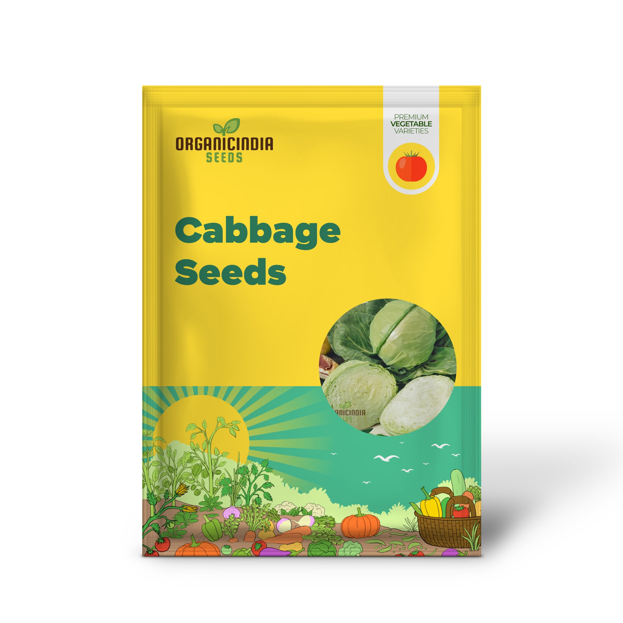 Golden Acre Cabbage Seedling, Easy-to-Grow Organic Cabbage Seeds