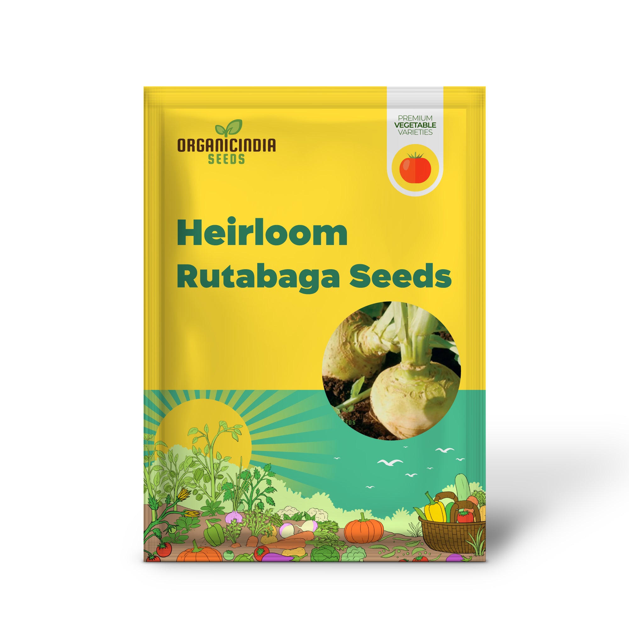 Cairns Heirloom Rutabaga Seedling Growing in Garden, Homegrown Heirloom Seeds