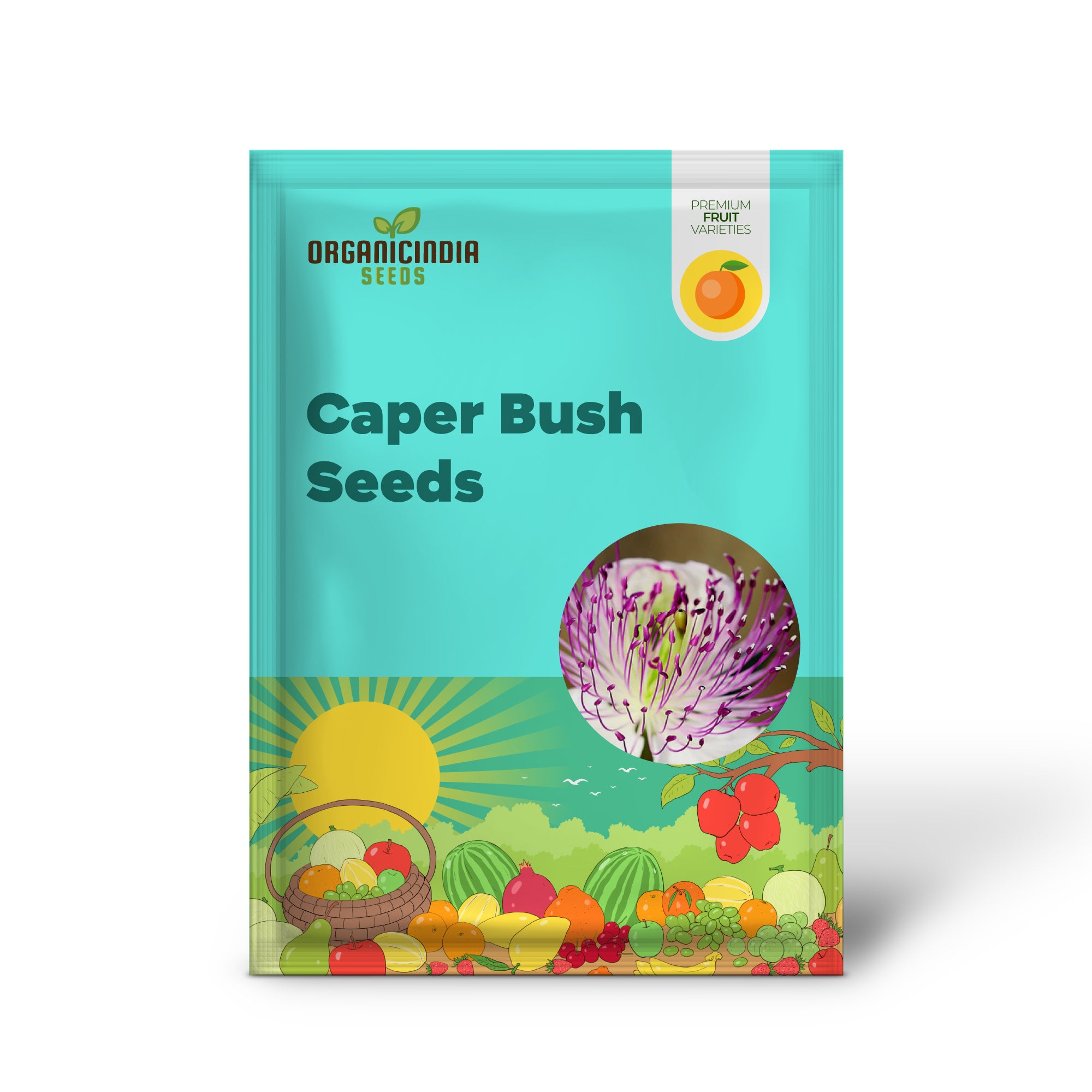 Caper bush plant seeds suitable for Mediterranean gardens