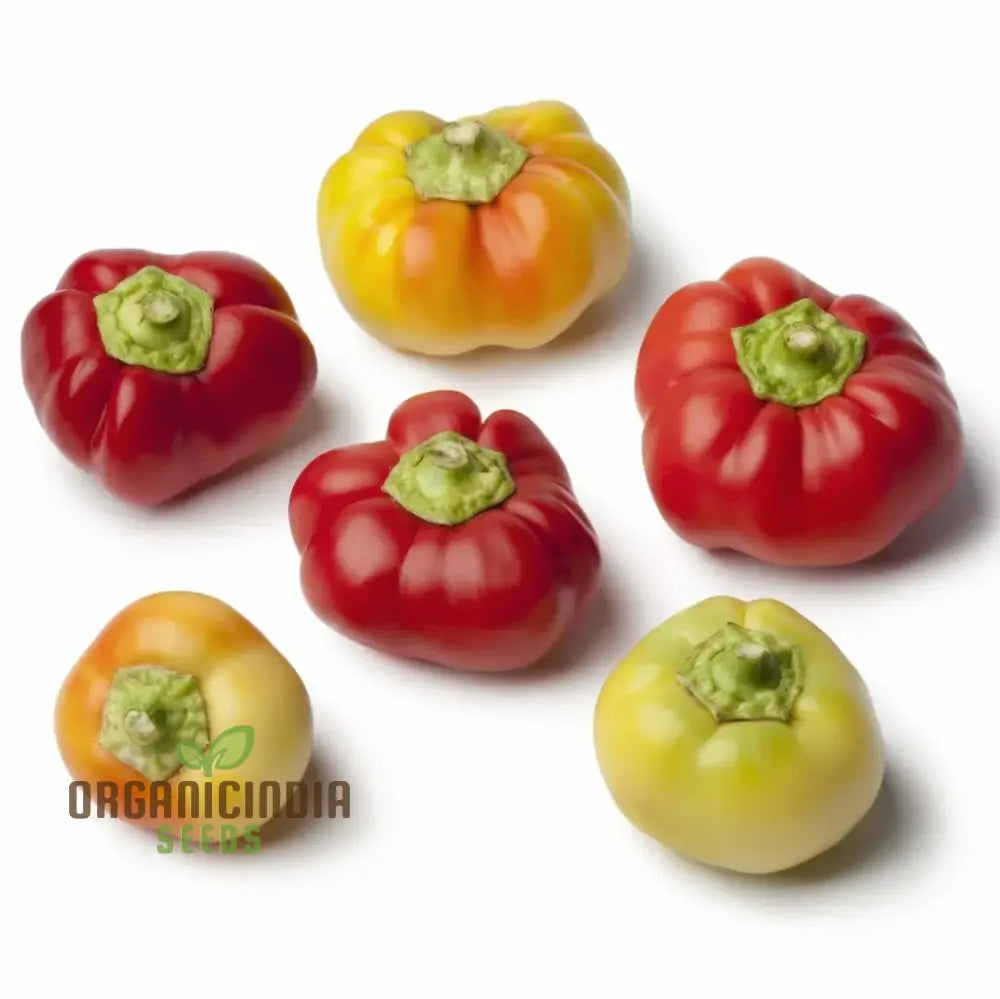 Capsicum Alma Paprika Seeds For Planting Grow Flavorful Peppers At Home