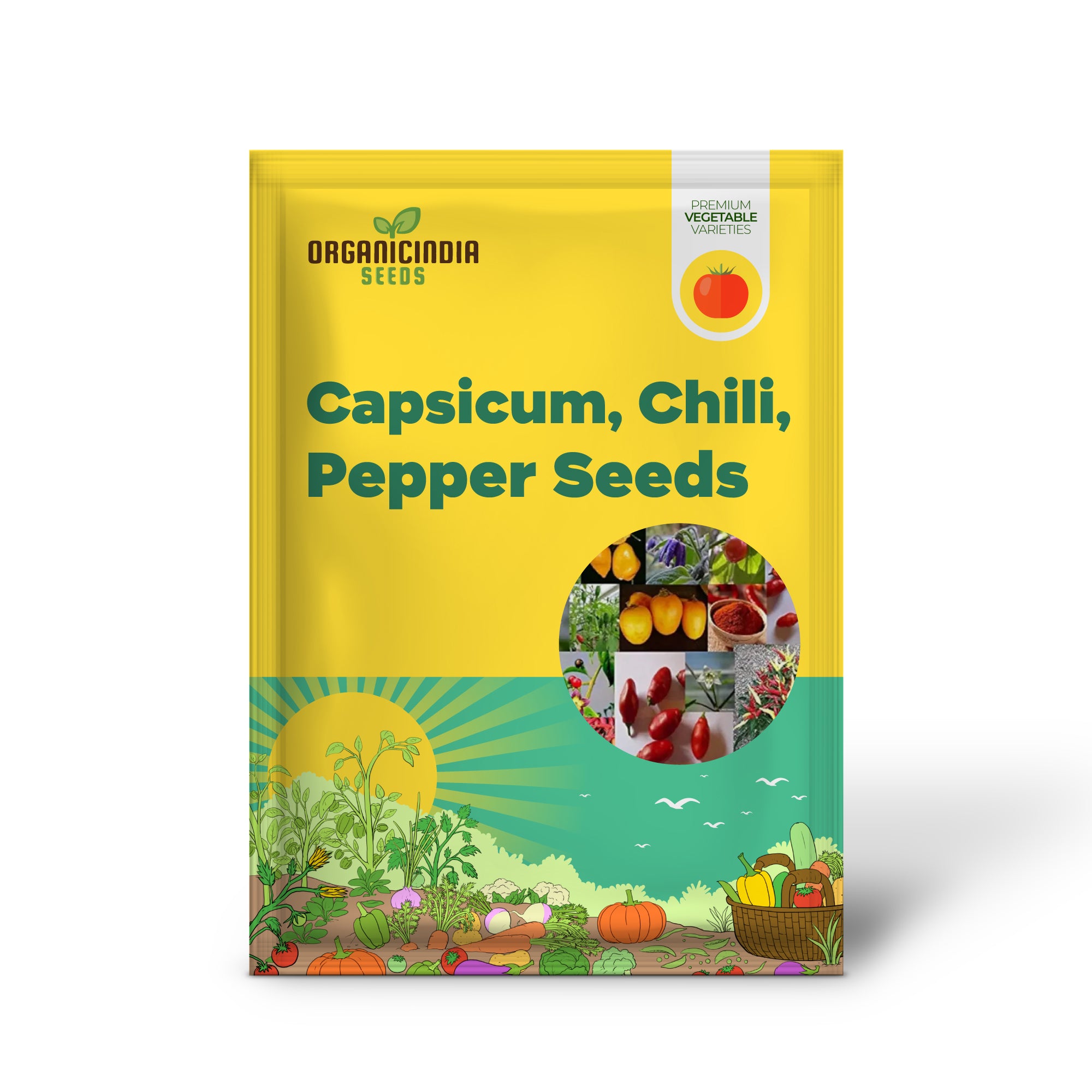 Capsicum Chili Pepper Seeds for Gardening and Planting