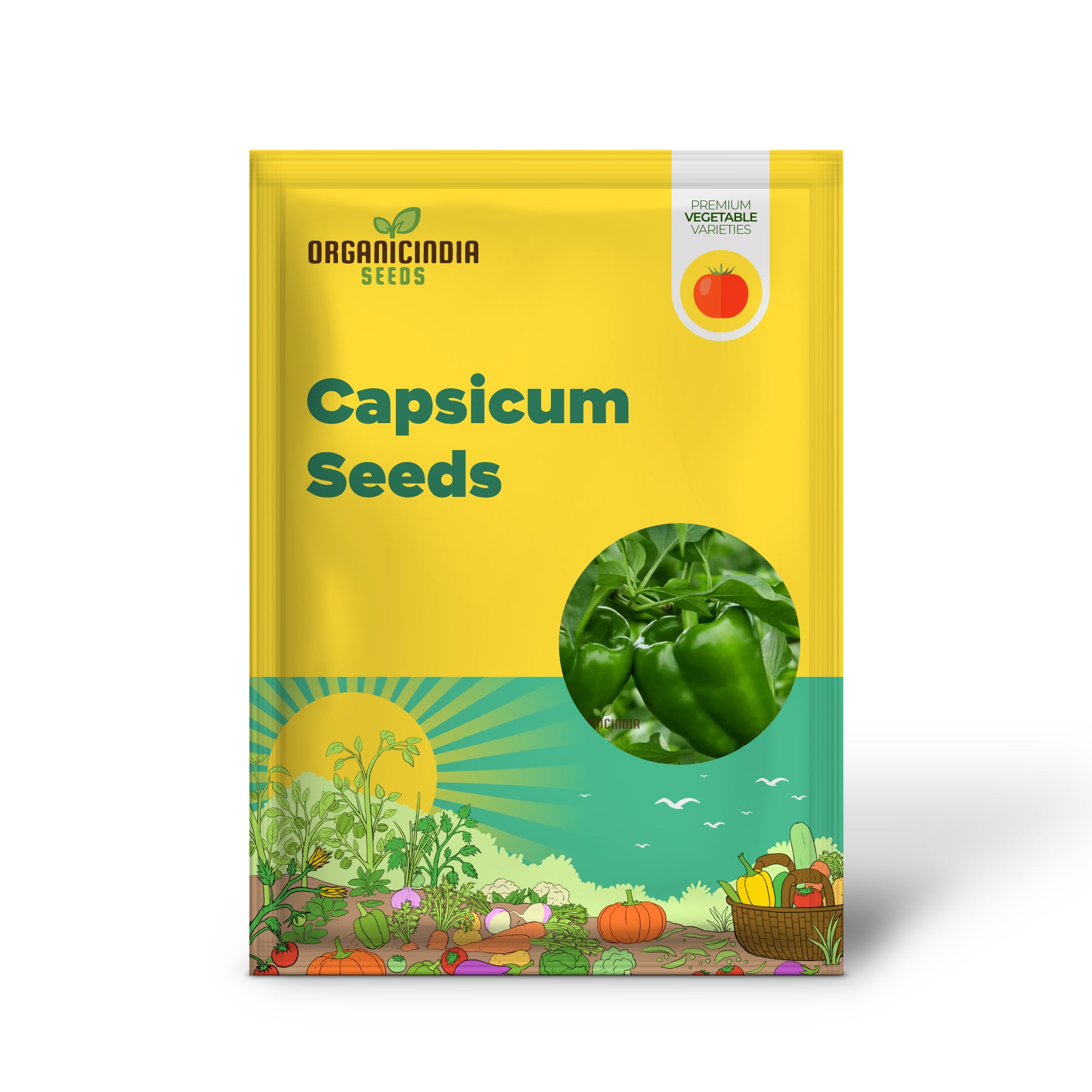 Green Capsicum Seedling Growing from Seeds, Easy-to-Grow Vegetable