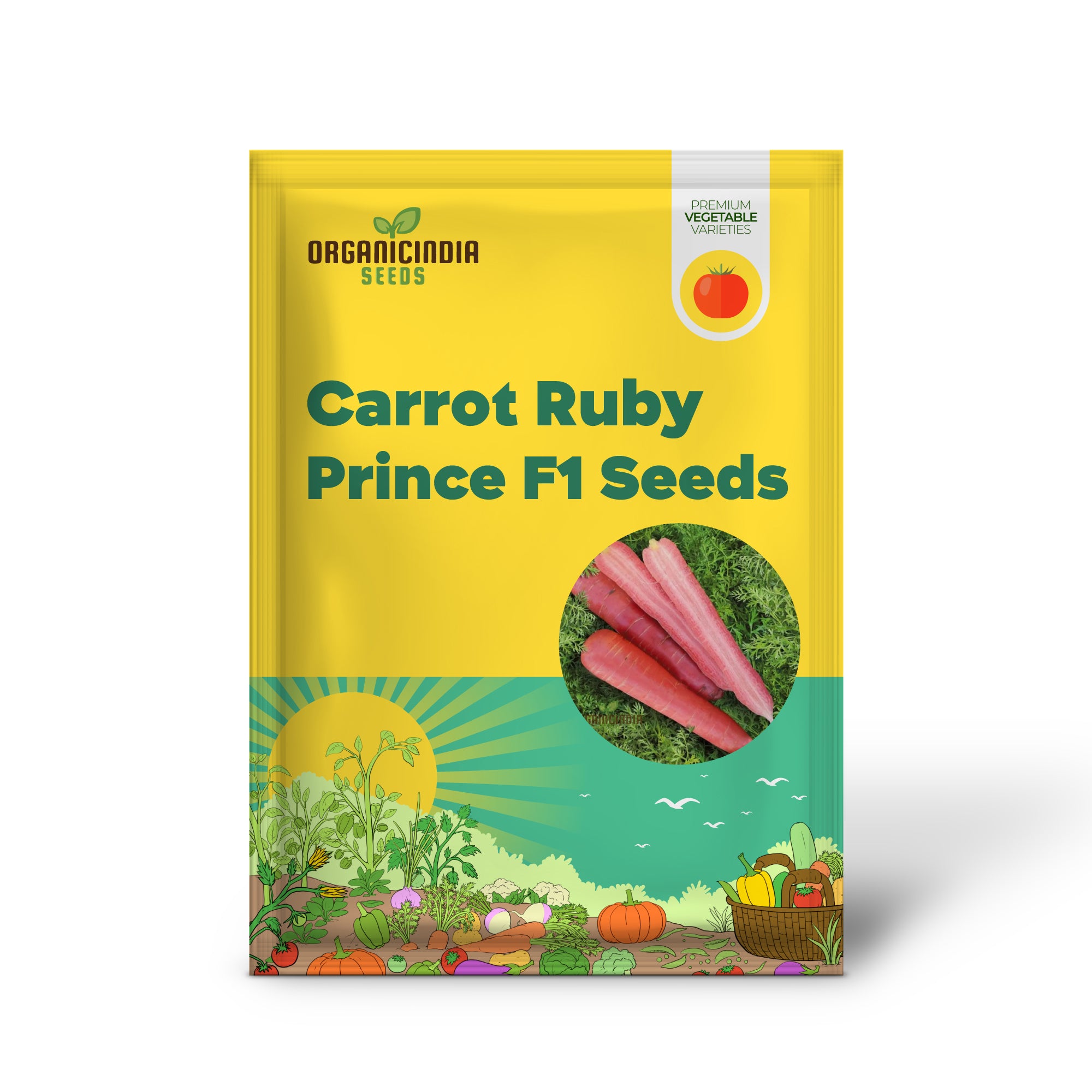 Carrot Seedling Growing from Ruby Prince F1 Seeds, Easy-to-Grow Vegetable Plant
