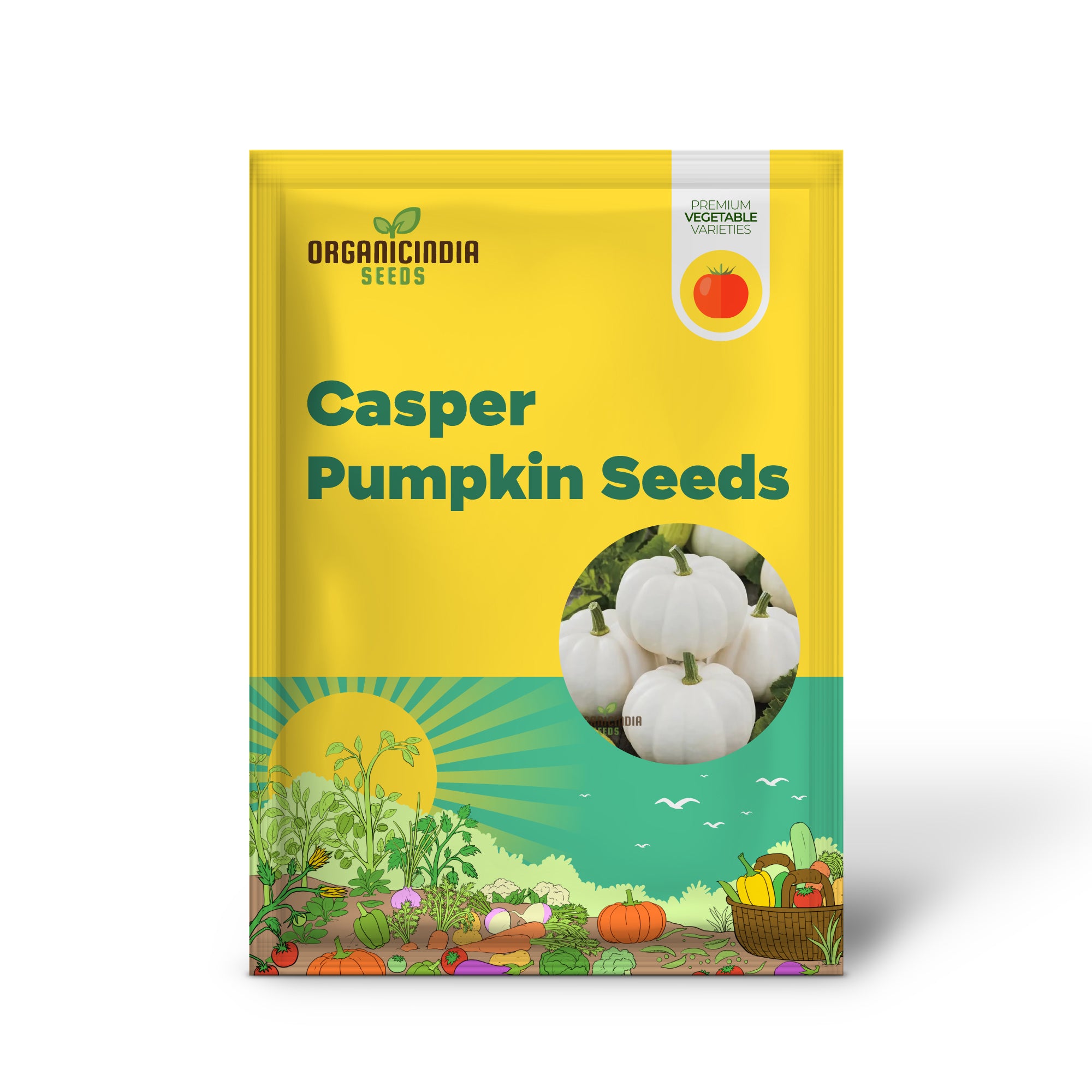 Casper Pumpkin Seedlings in Garden, Easy-to-Grow Pumpkin Seeds