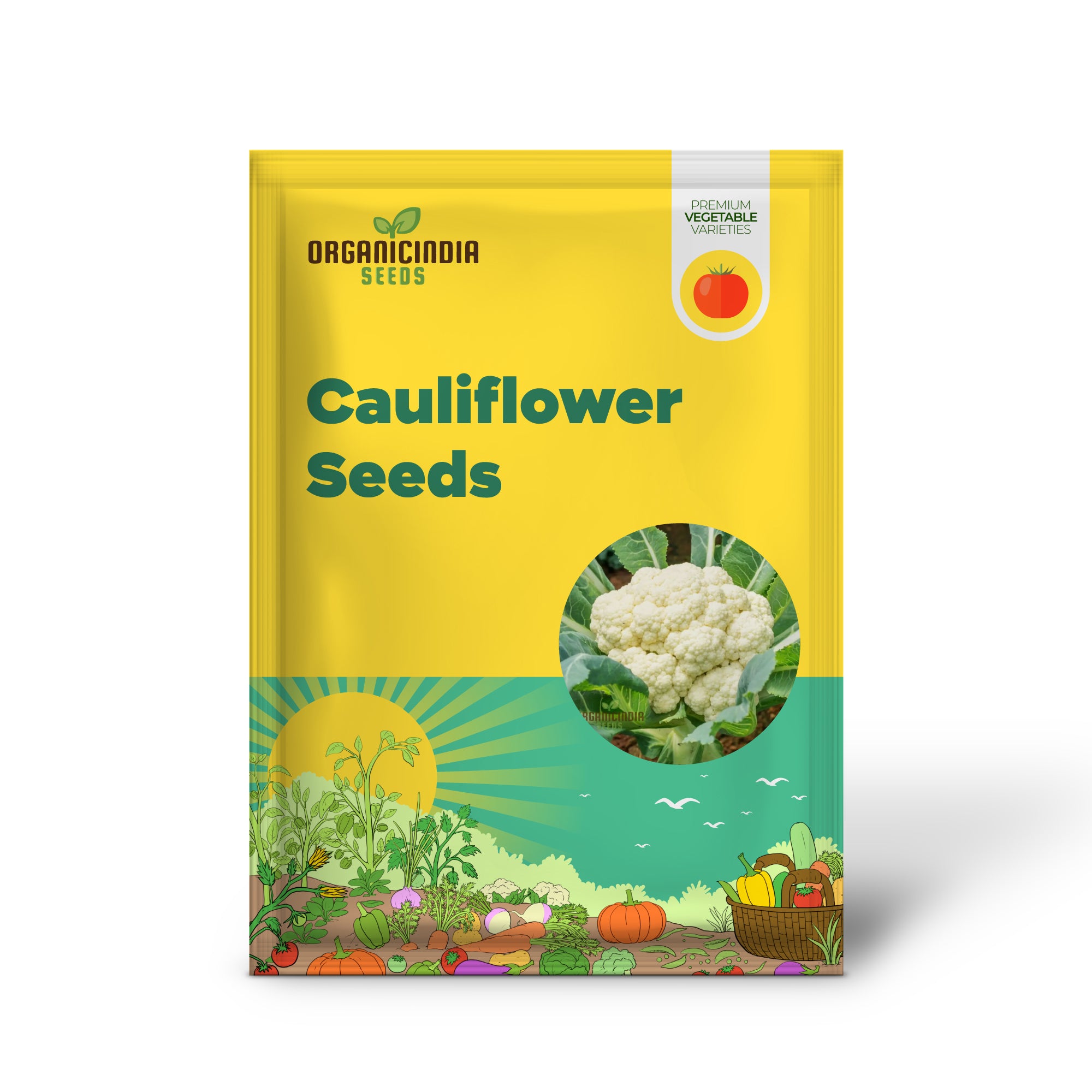 Mature Snowball Cauliflower Plant, Crisp White Heads from Seeds