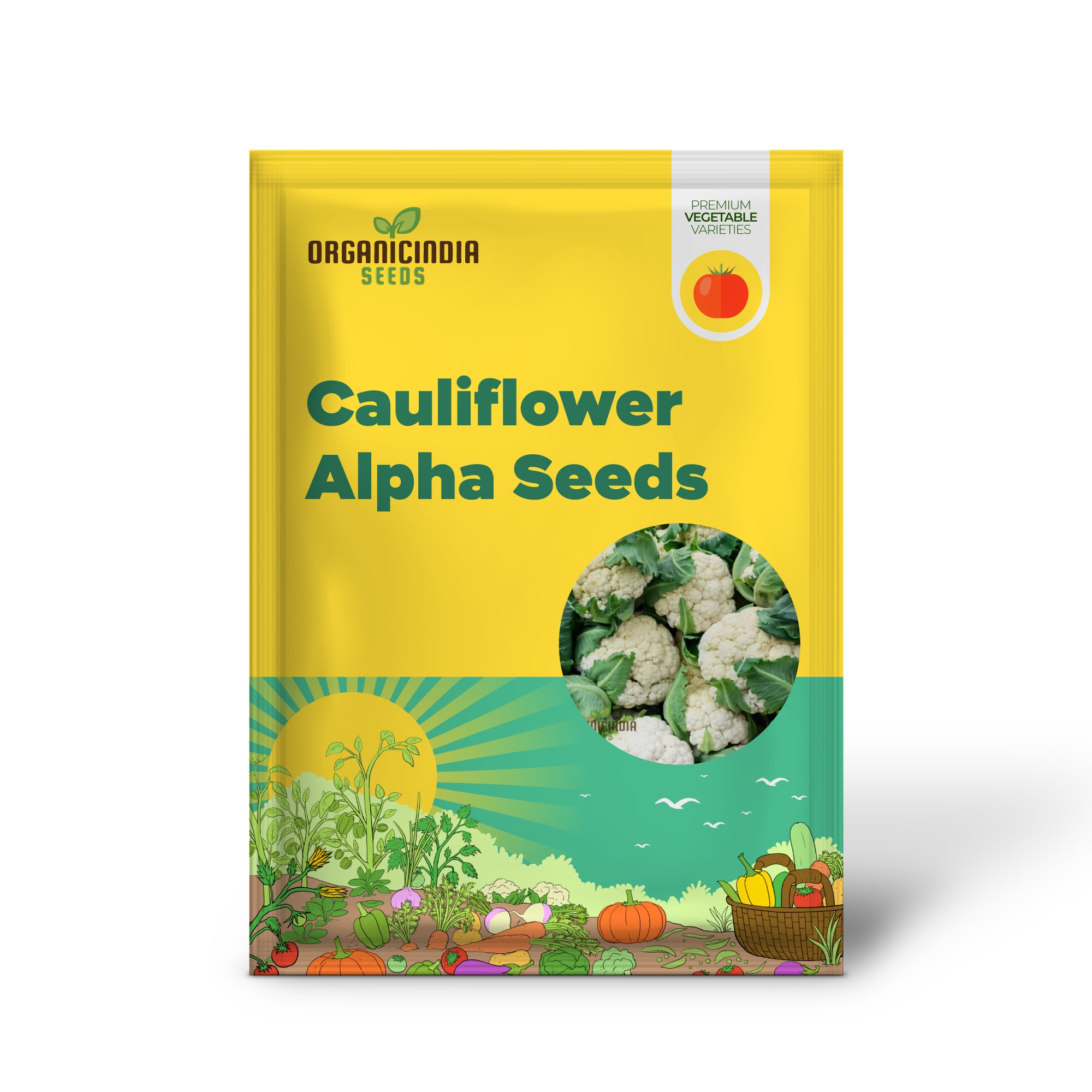 Cauliflower Seedlings Growing from Alpha Seeds for Home Garden